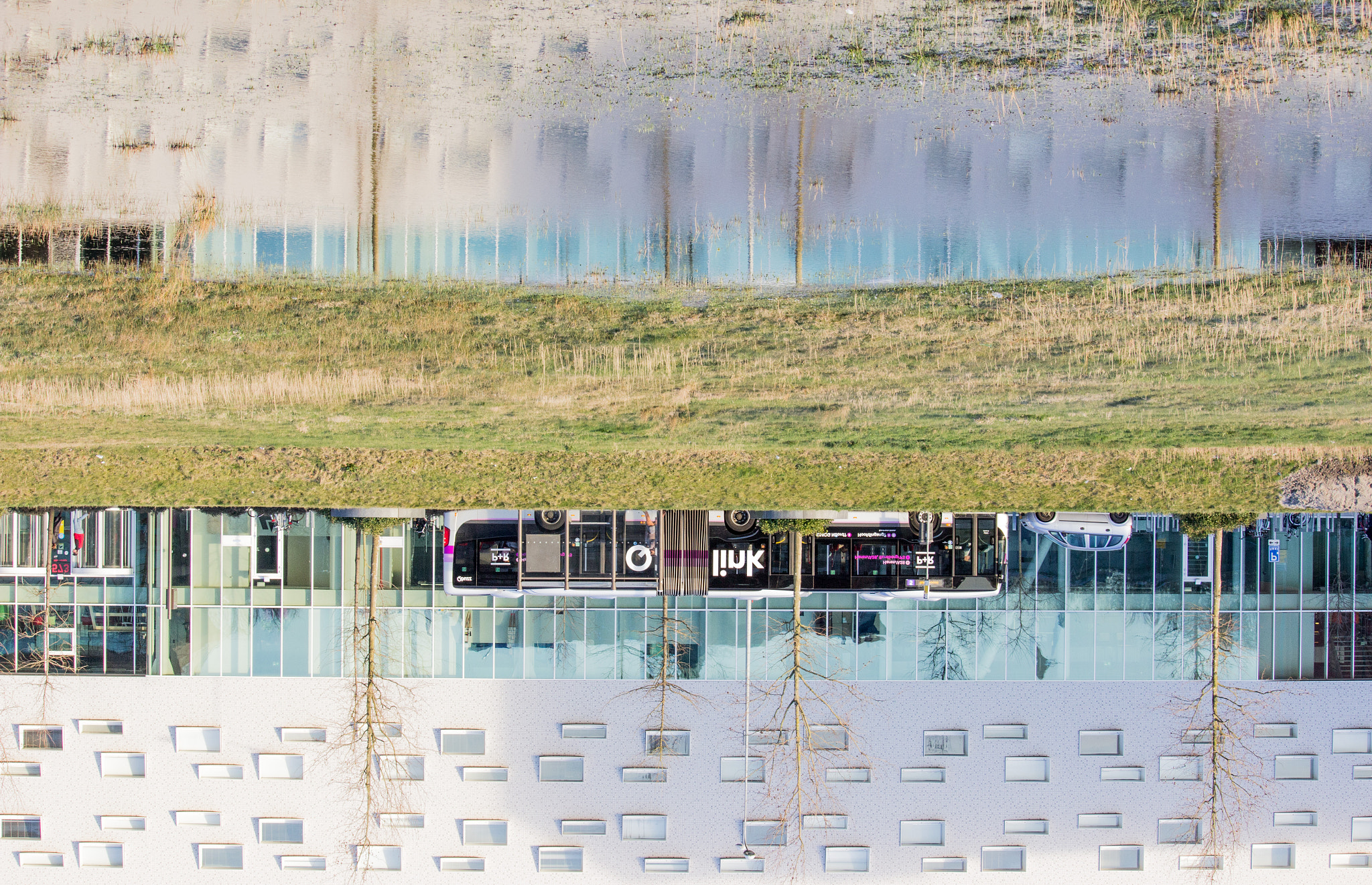 Canon EF-S 55-250mm F4-5.6 IS STM sample photo. Pond photography