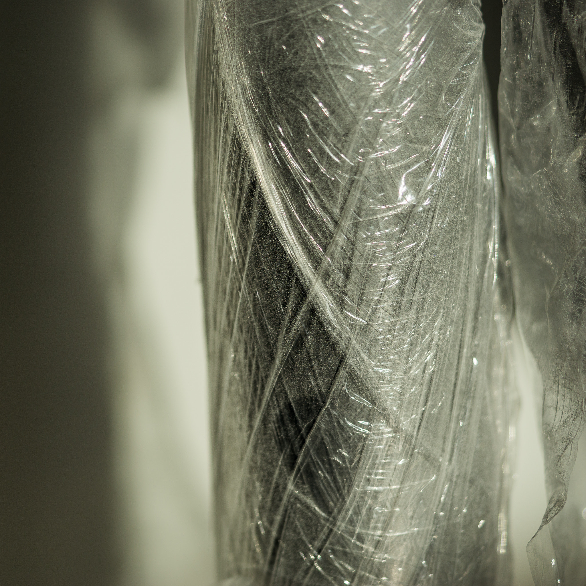 Sony a6000 + Sony FE 90mm F2.8 Macro G OSS sample photo. Wrapped up. photography