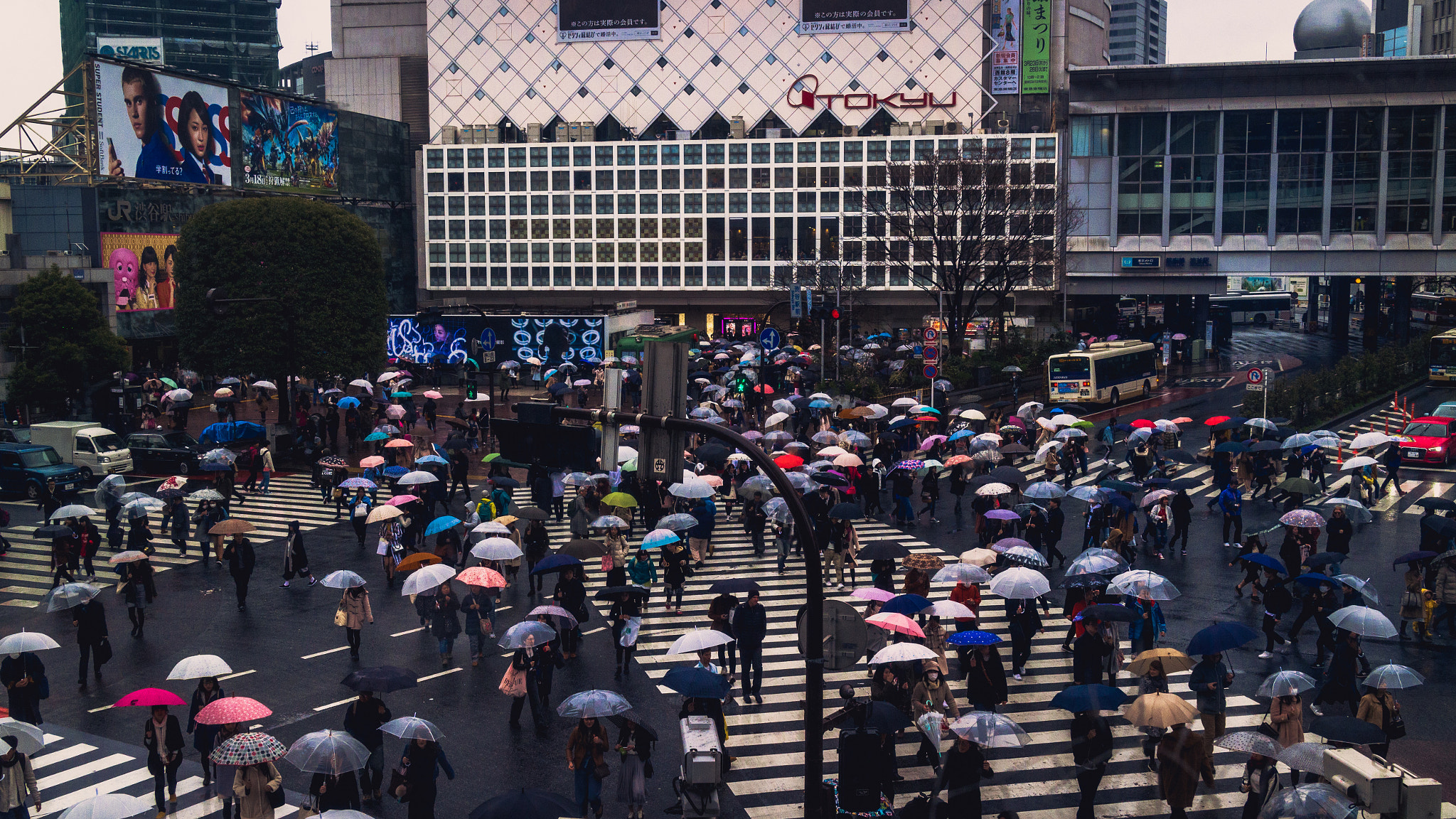 Canon EF-M 22mm F2 STM sample photo