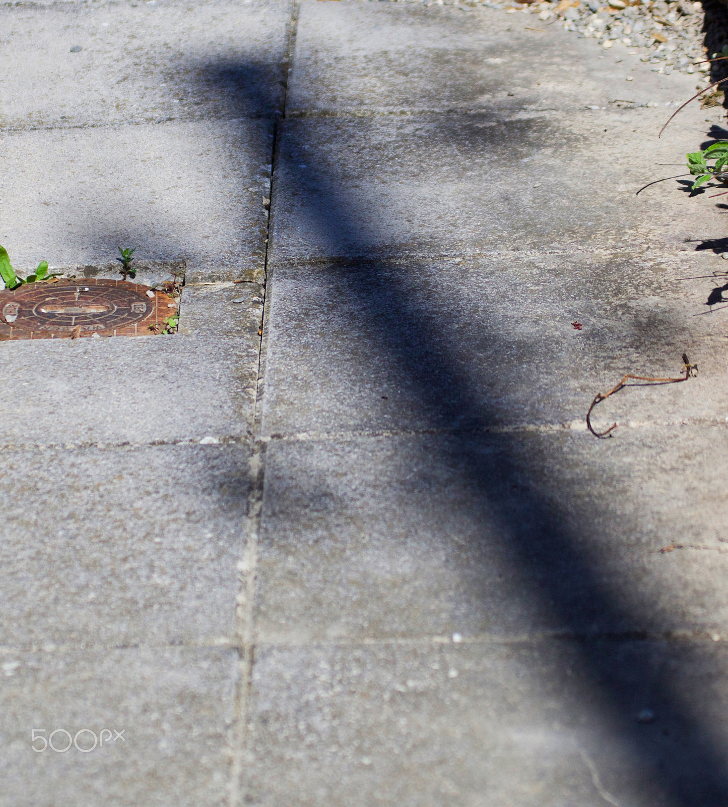 Canon EF 100-400mm F4.5-5.6L IS USM sample photo. Shadow of power photography