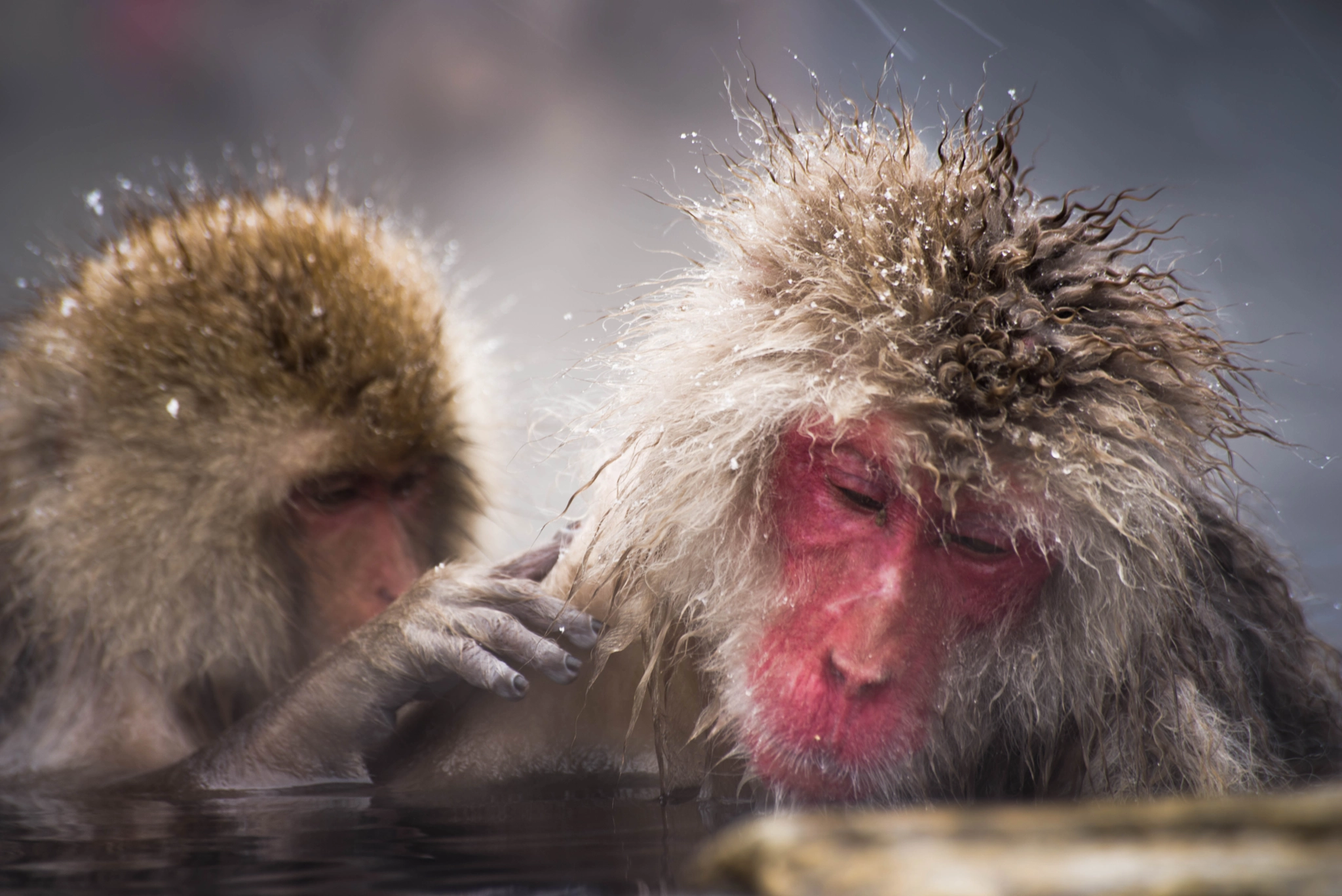 Pentax K-1 + Sigma sample photo. Bath time photography