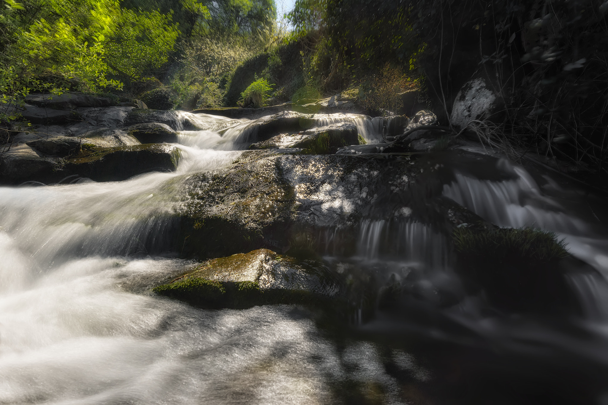 Nikon D800 sample photo. Garganta de marta photography