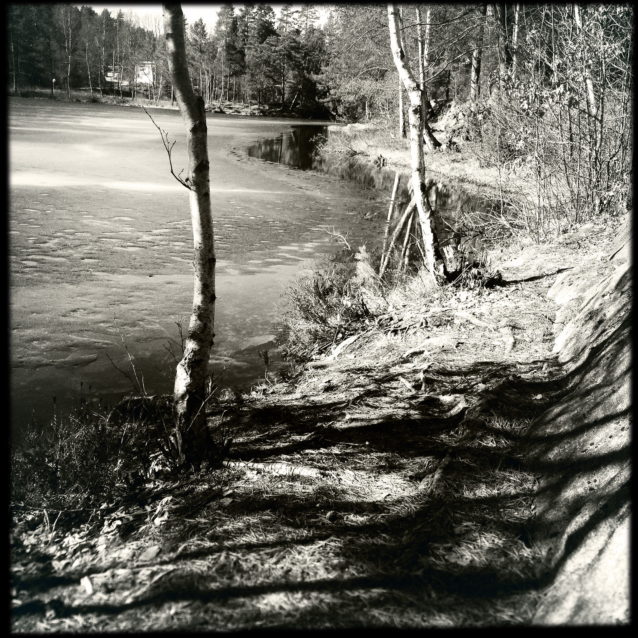 Hipstamatic 333 sample photo