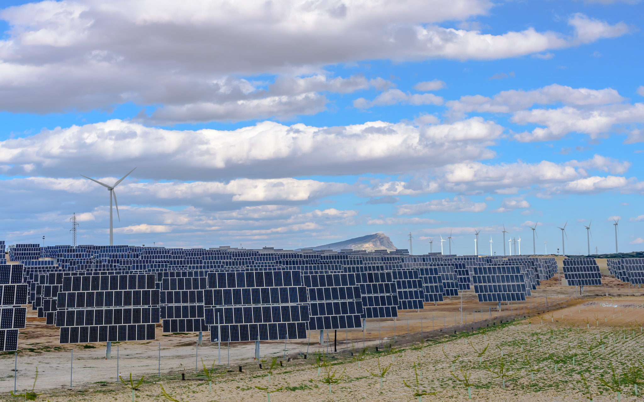 Field of solar panels and wind turbines with cloud