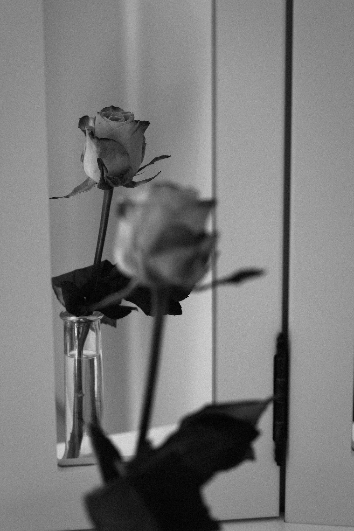 Canon 50mm sample photo. Me, myself, no i photography