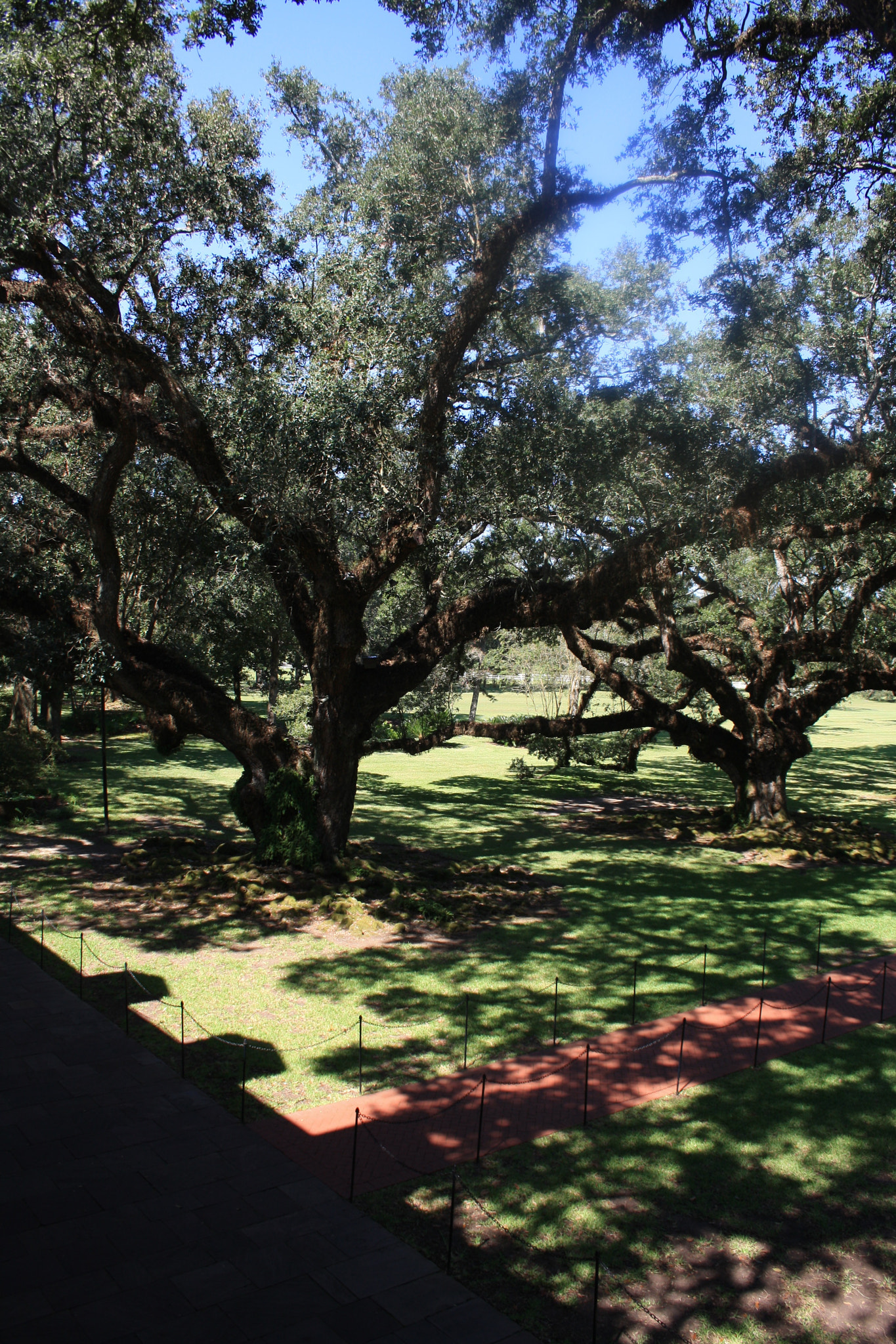 Canon EF-S 18-55mm F3.5-5.6 II sample photo. Louisianais photography