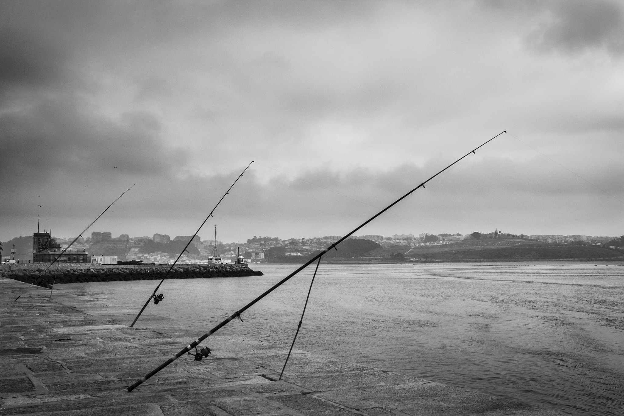 Sigma 17-70mm F2.8-4 DC Macro OS HSM sample photo. Porto jan 2017 photography
