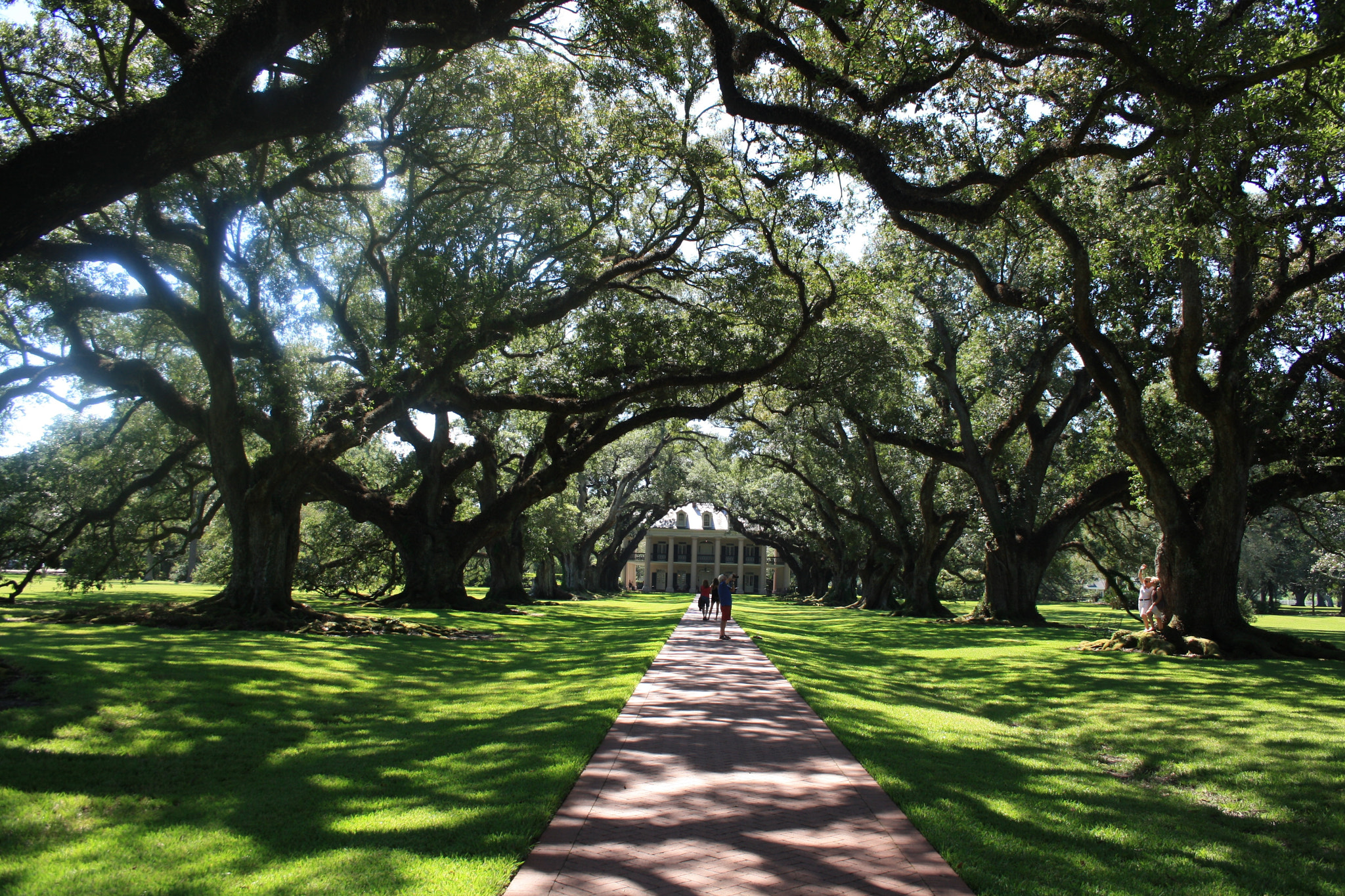 Canon EF-S 18-55mm F3.5-5.6 II sample photo. New orleans photography