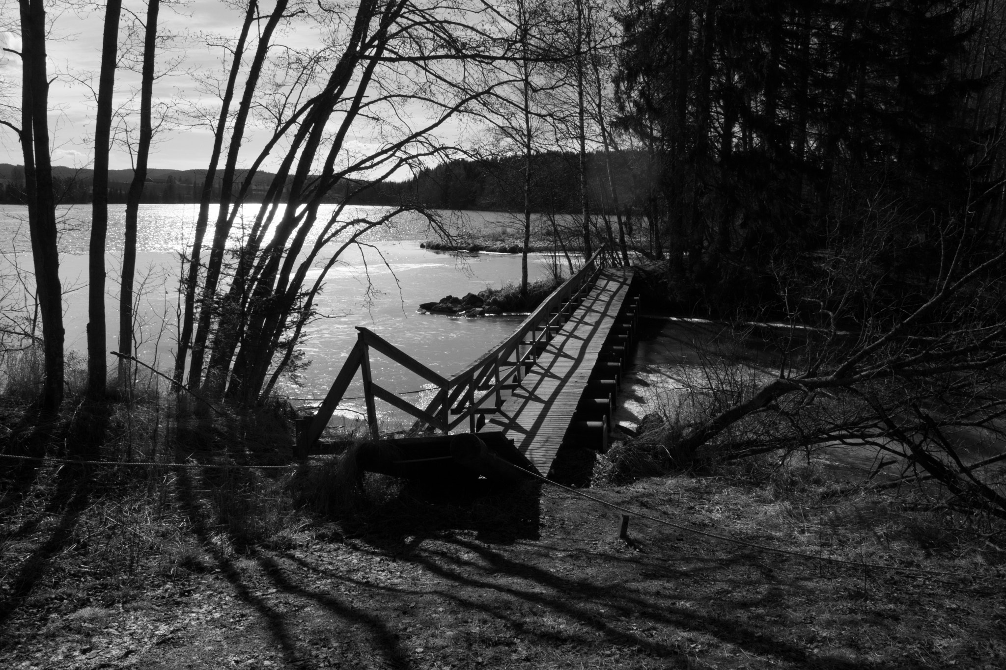 Nikon 1 J5 sample photo. Blakerstrand photography