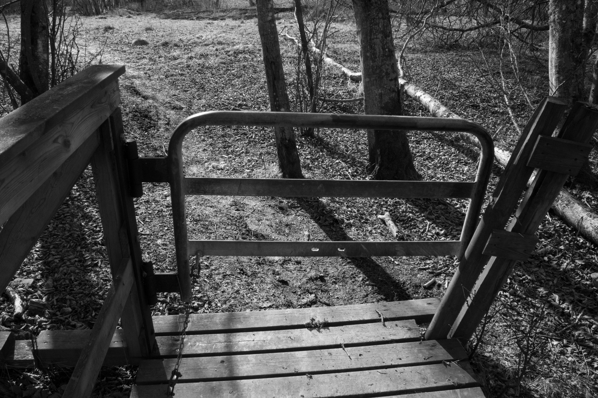 Nikon 1 J5 sample photo. Blakerstrand photography
