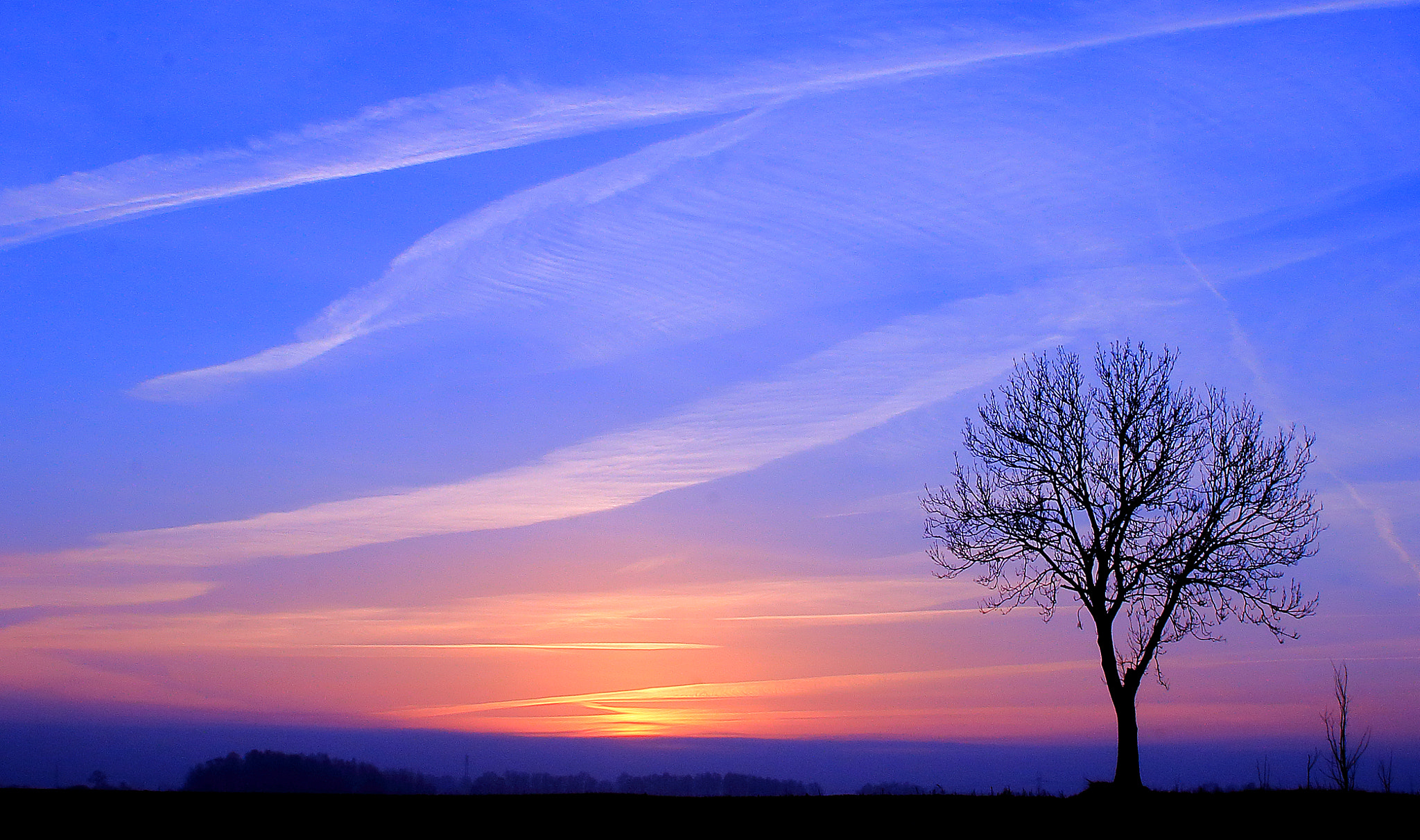 Canon EOS 70D + Sigma 24-70mm F2.8 EX DG Macro sample photo. Morning photography