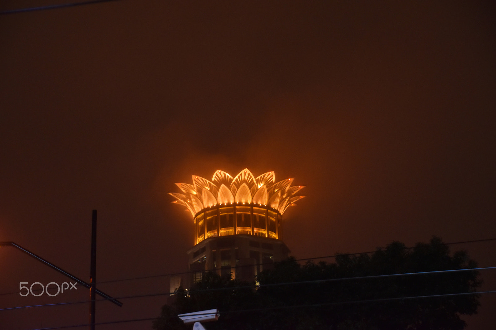 Nikon D5500 sample photo. Foggy lotus photography