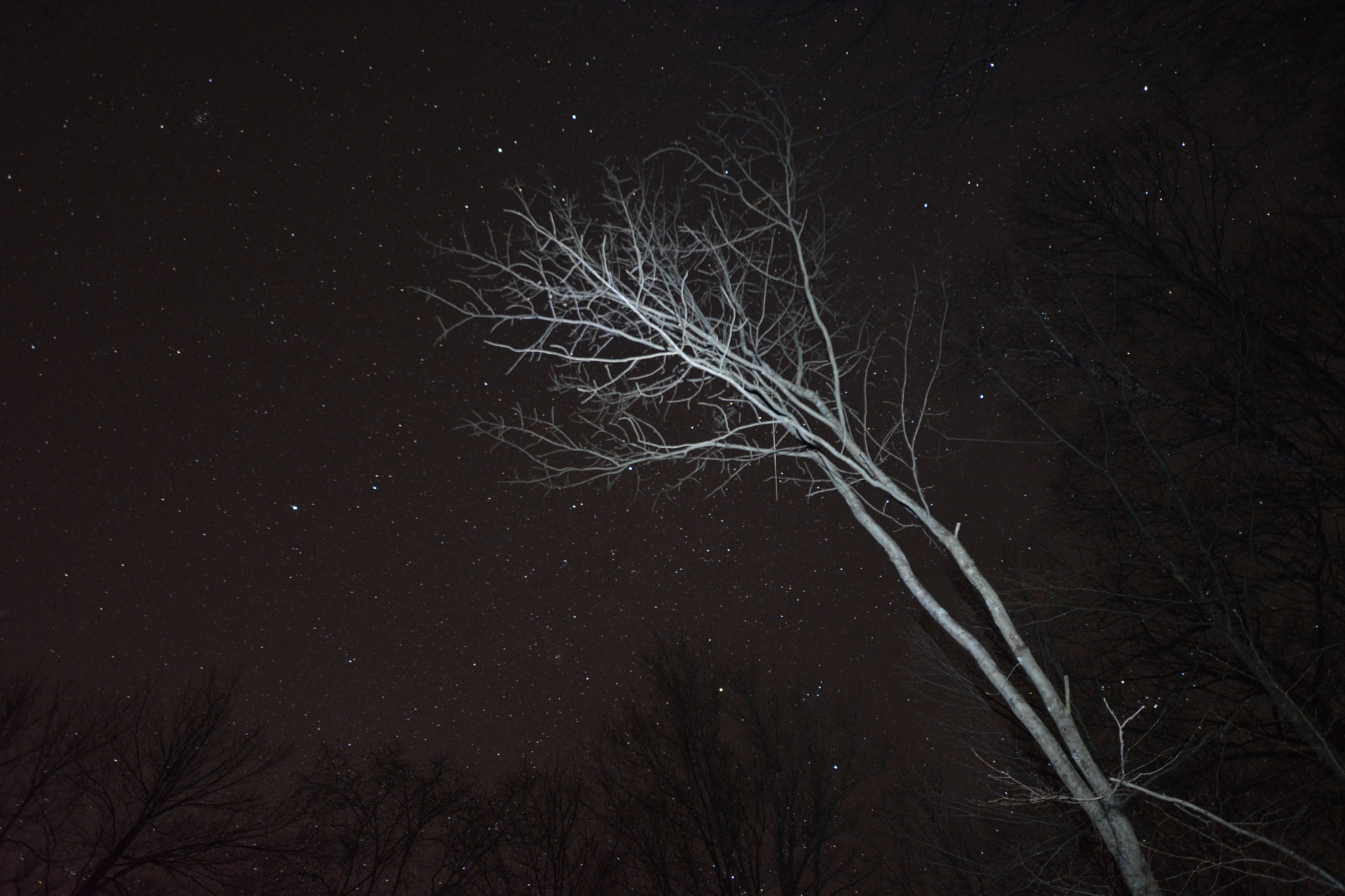 Nikon D5200 + Sigma 10-20mm F3.5 EX DC HSM sample photo