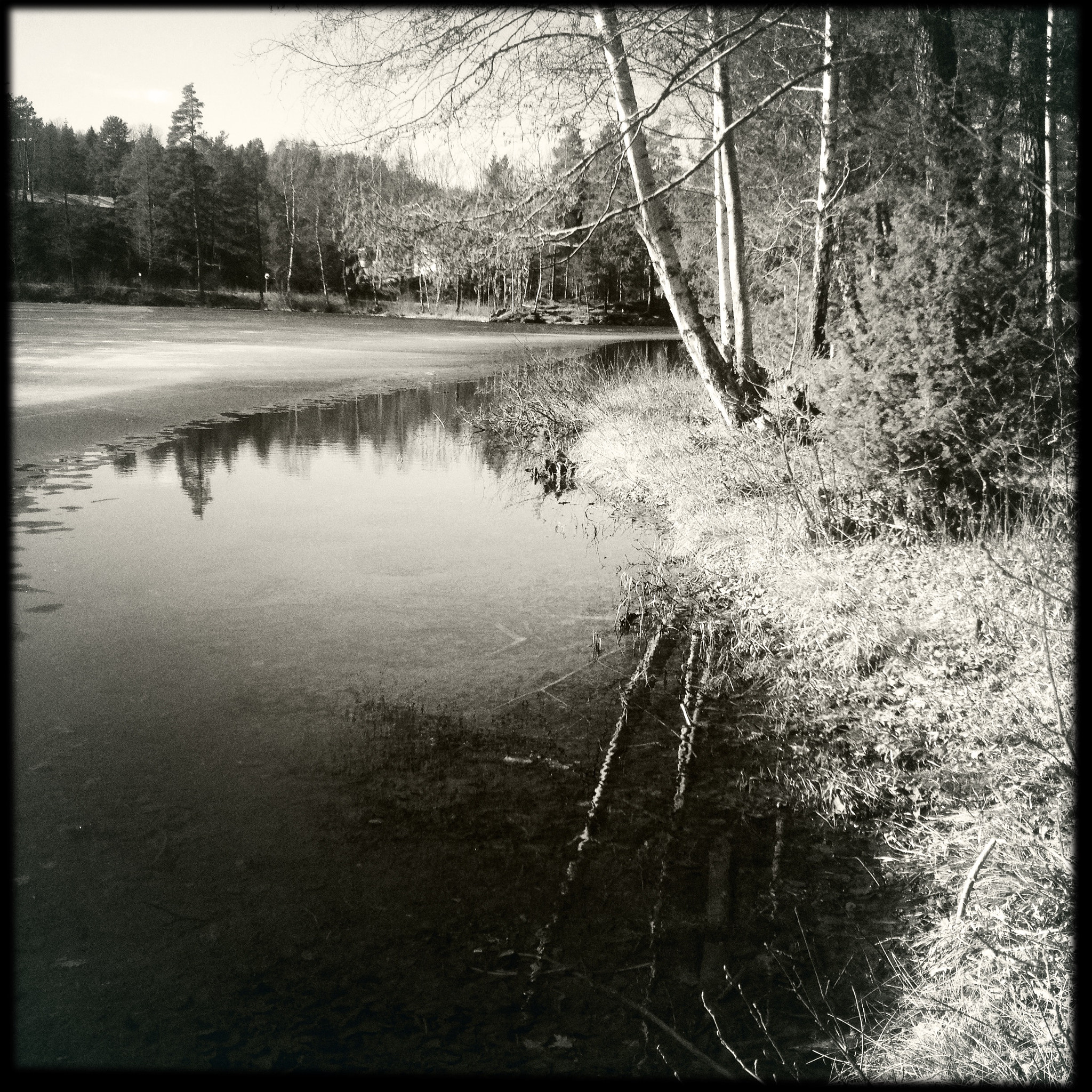 Hipstamatic 333 sample photo. Lake photography