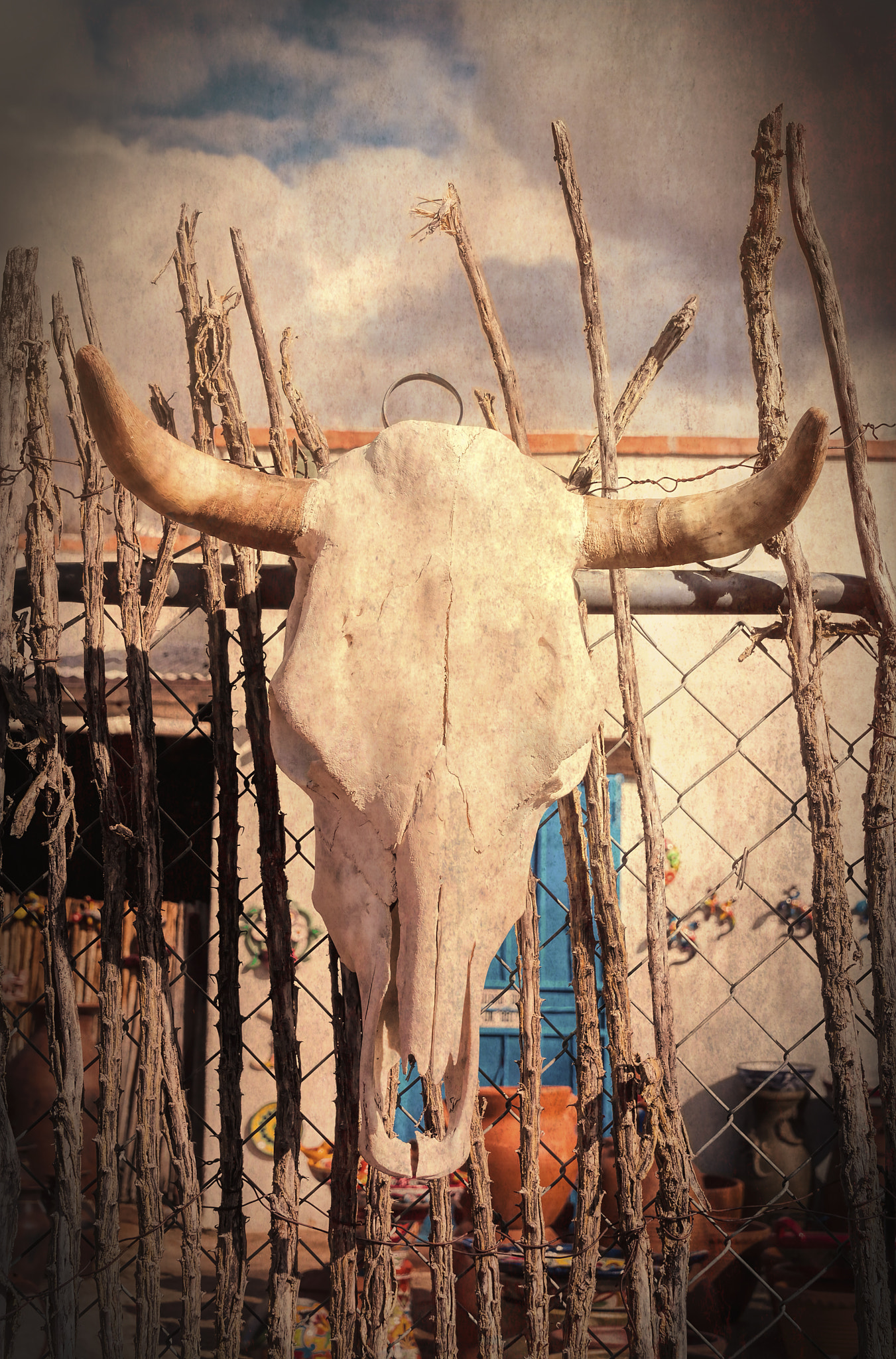 Nikon D90 sample photo. Trophy photography
