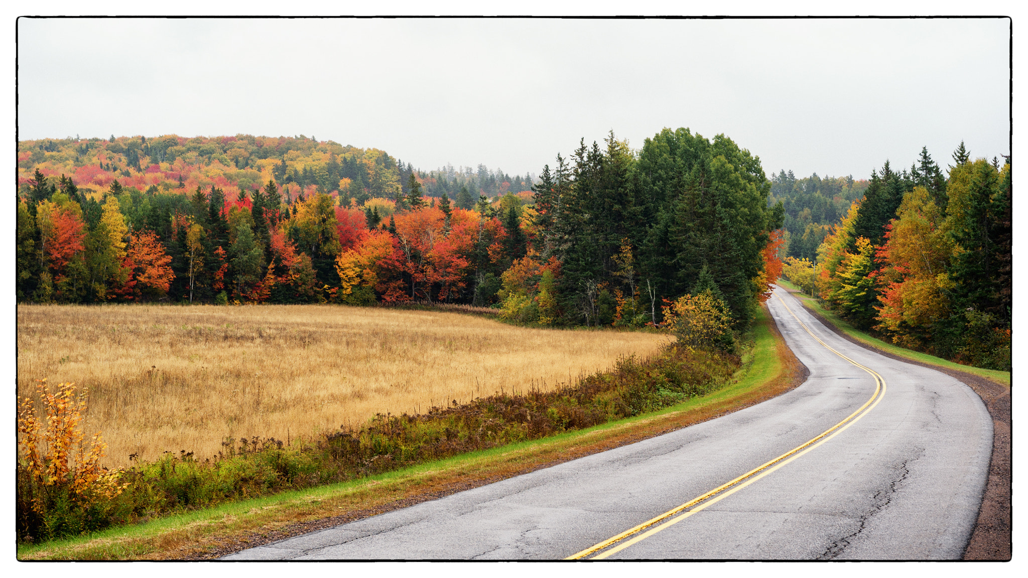 Sony a7S sample photo. Bend in the road photography