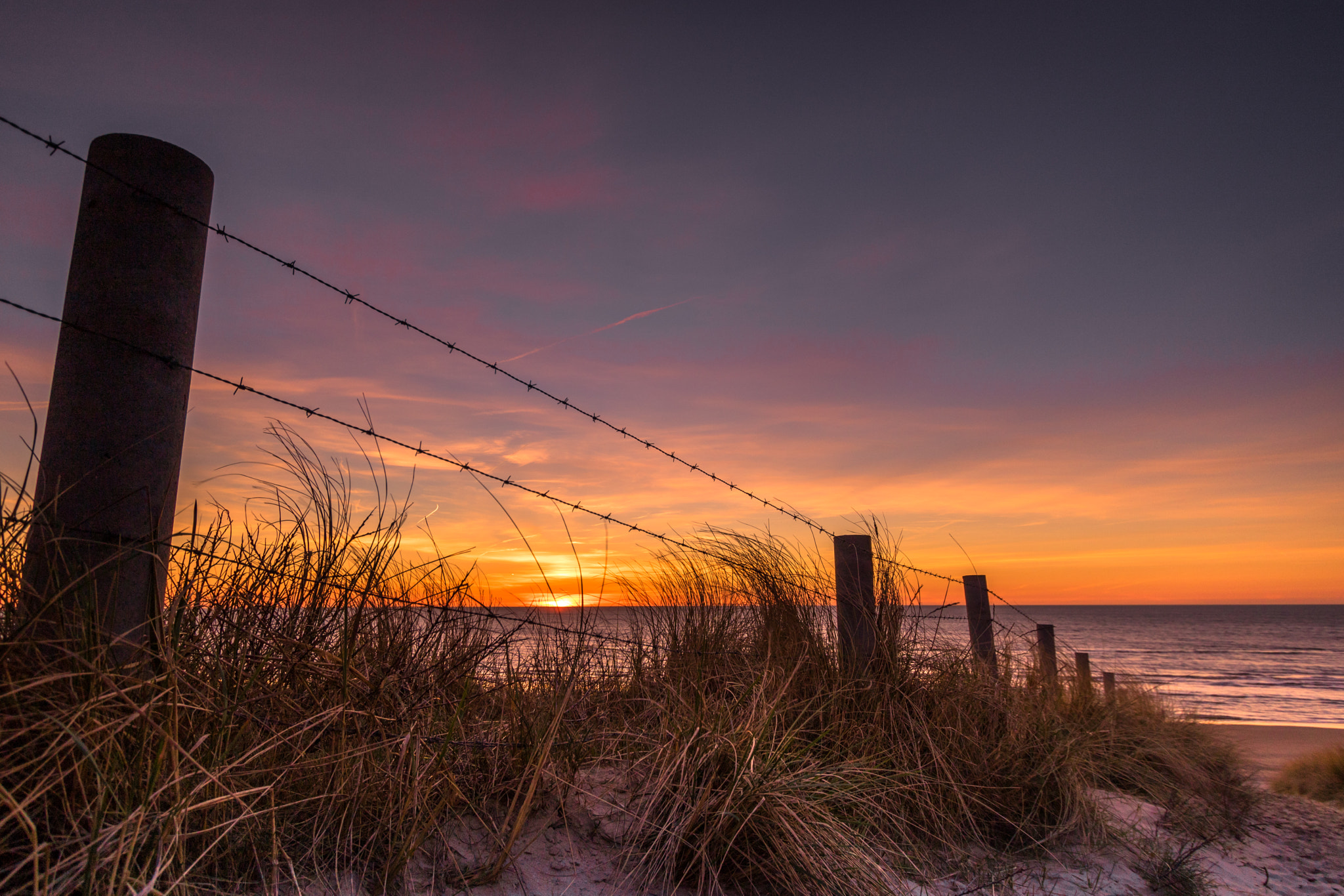 Canon EOS 750D (EOS Rebel T6i / EOS Kiss X8i) + Canon EF-S 10-22mm F3.5-4.5 USM sample photo. Sunset barbwire photography