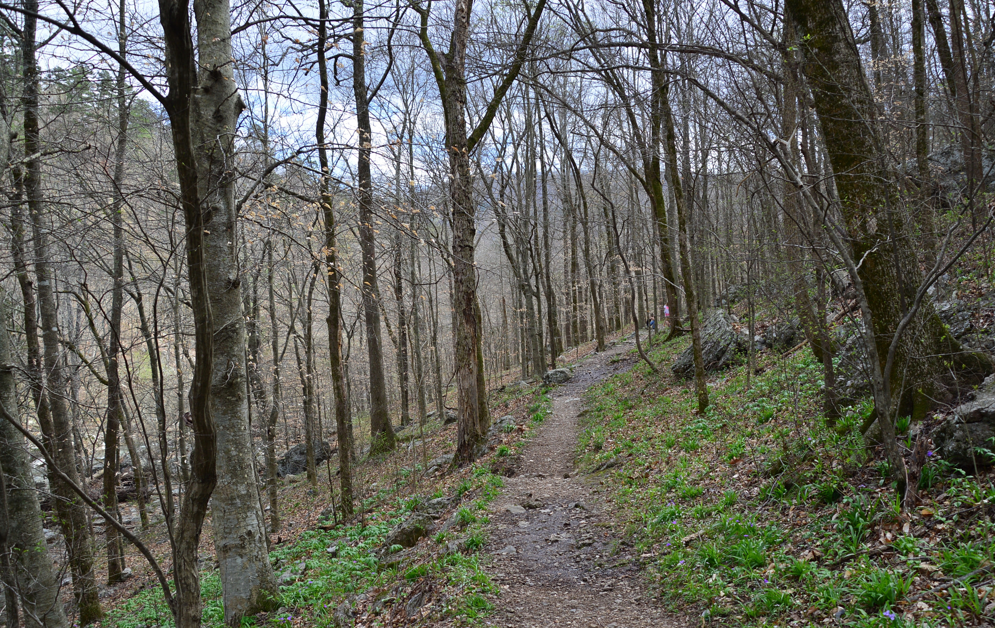 Nikon D3200 sample photo. Springtime hike photography