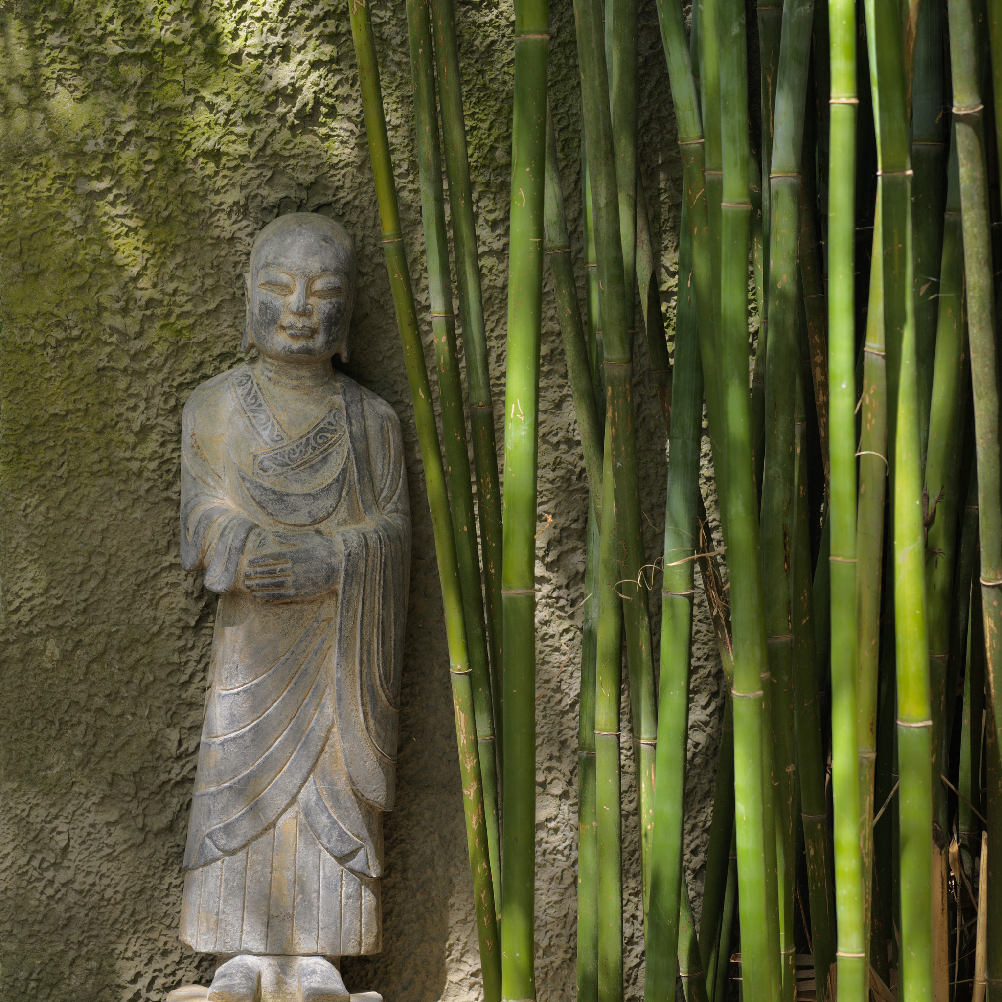Hasselblad XCD 90mm F3.2 sample photo. Buddha and bamboo photography