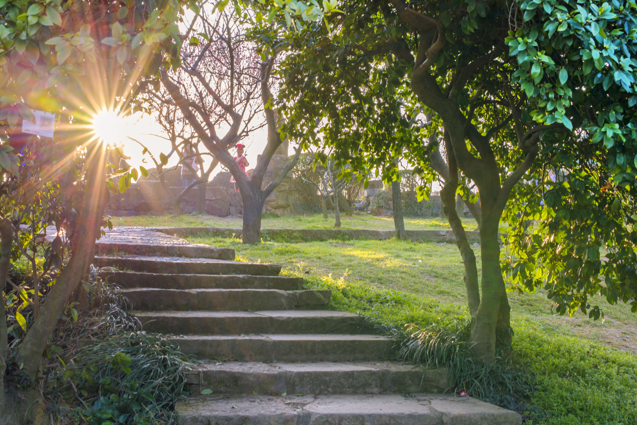 Nikon D610 + Nikon AF-S Nikkor 50mm F1.4G sample photo. Dsc photography