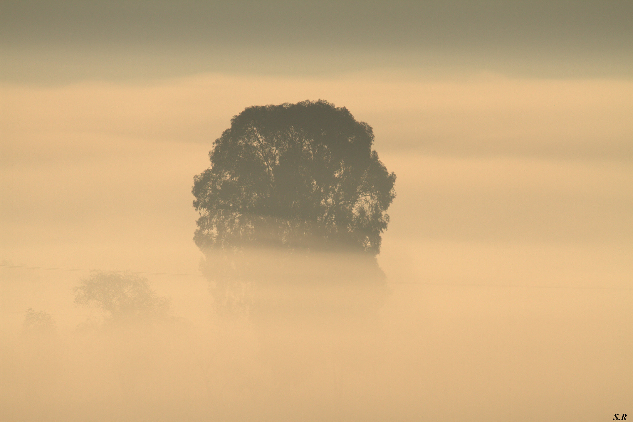 Tamron SP 150-600mm F5-6.3 Di VC USD sample photo. The heavens and  the eart are within us... photography