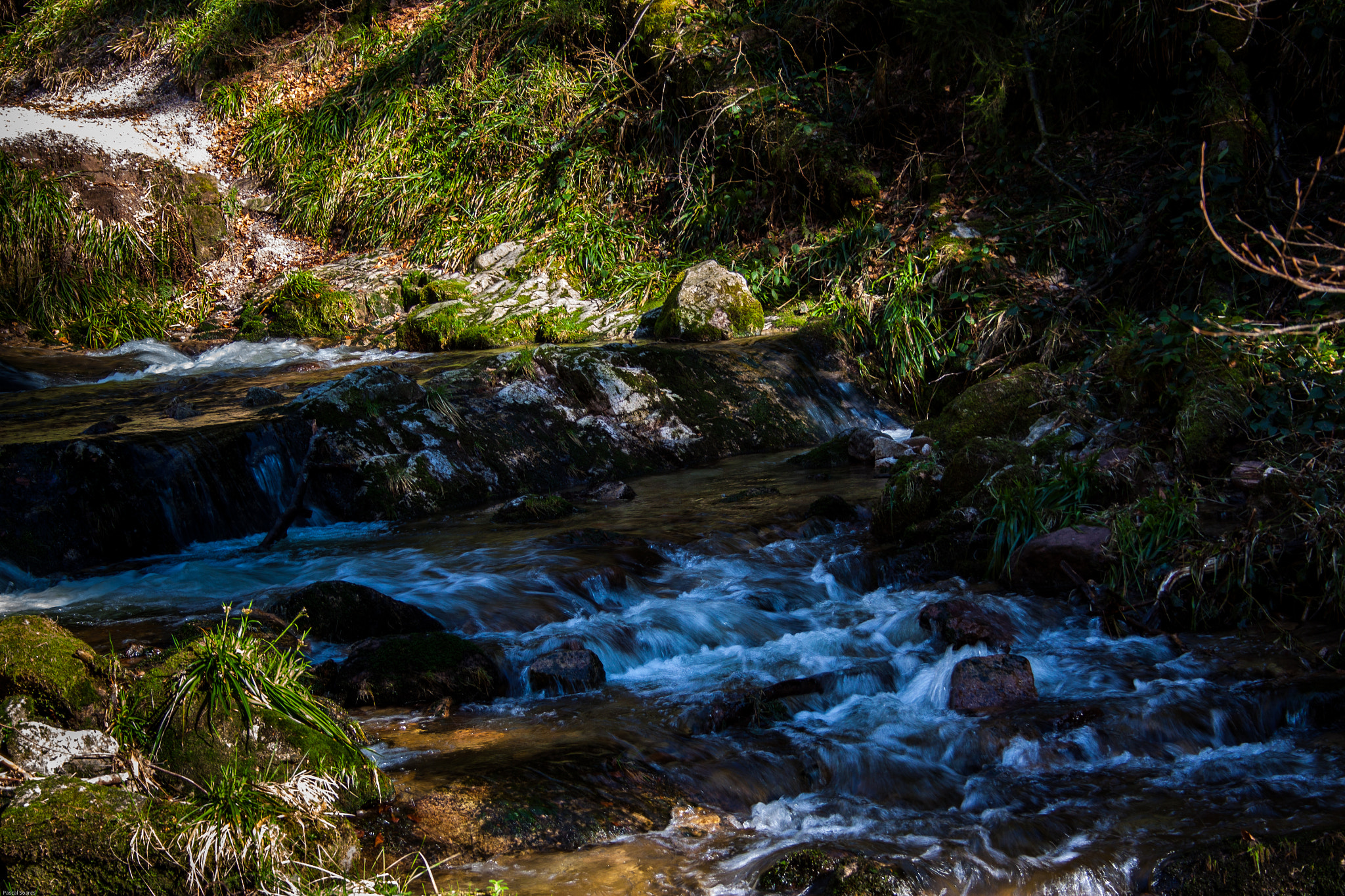 Canon EF-S 18-55mm F3.5-5.6 II sample photo. Little river photography