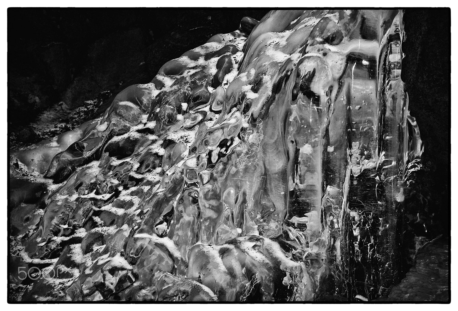 Nikon D700 sample photo. "homeostasis ii" (2017) photography