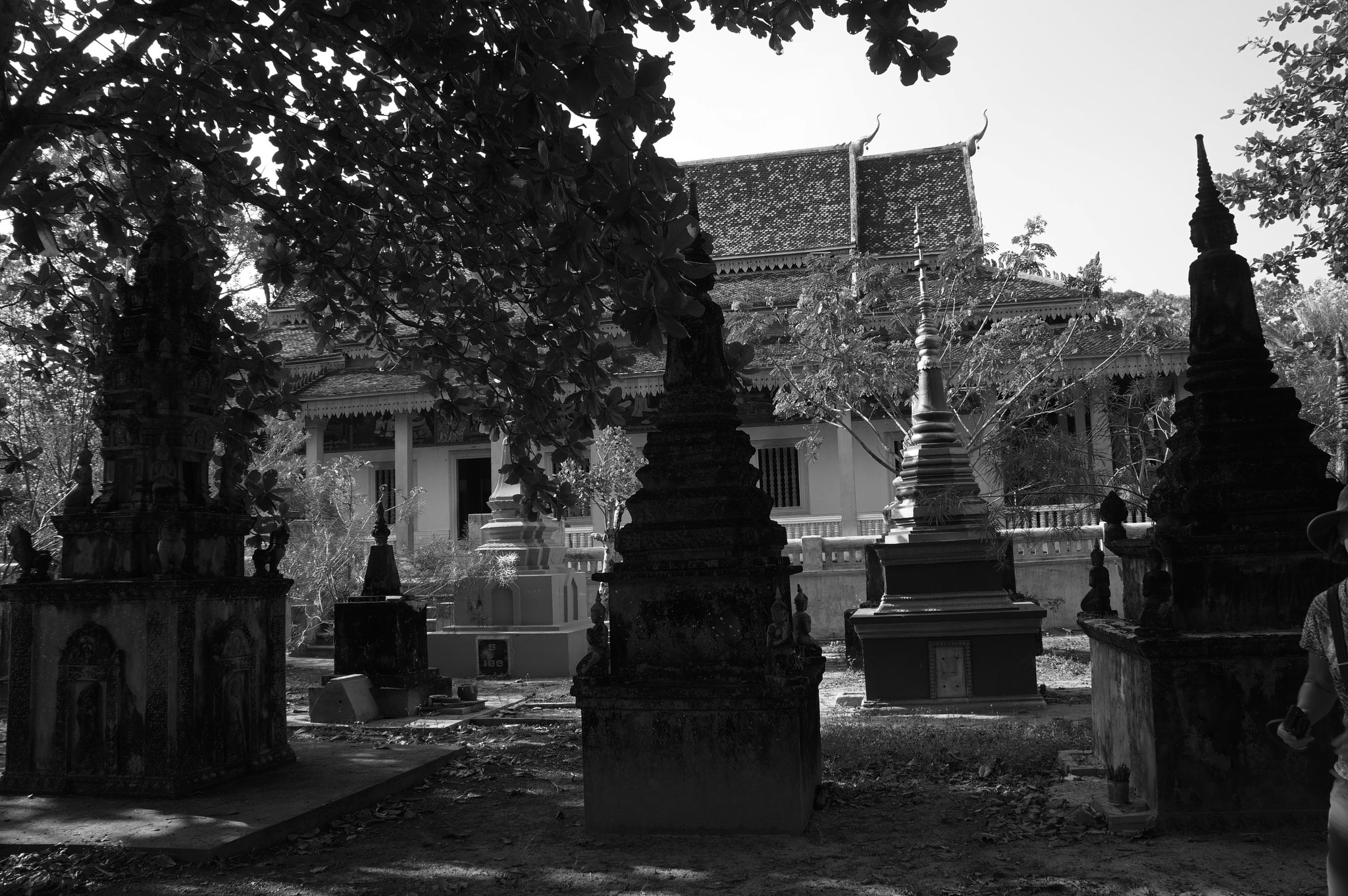 Sony a6000 + Sony E 18-55mm F3.5-5.6 OSS sample photo. Siemreap photography