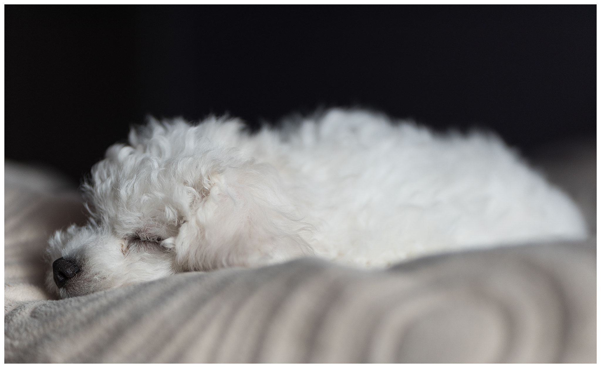 Nikon D750 + Sigma 105mm F2.8 EX DG Macro sample photo. Edit photography