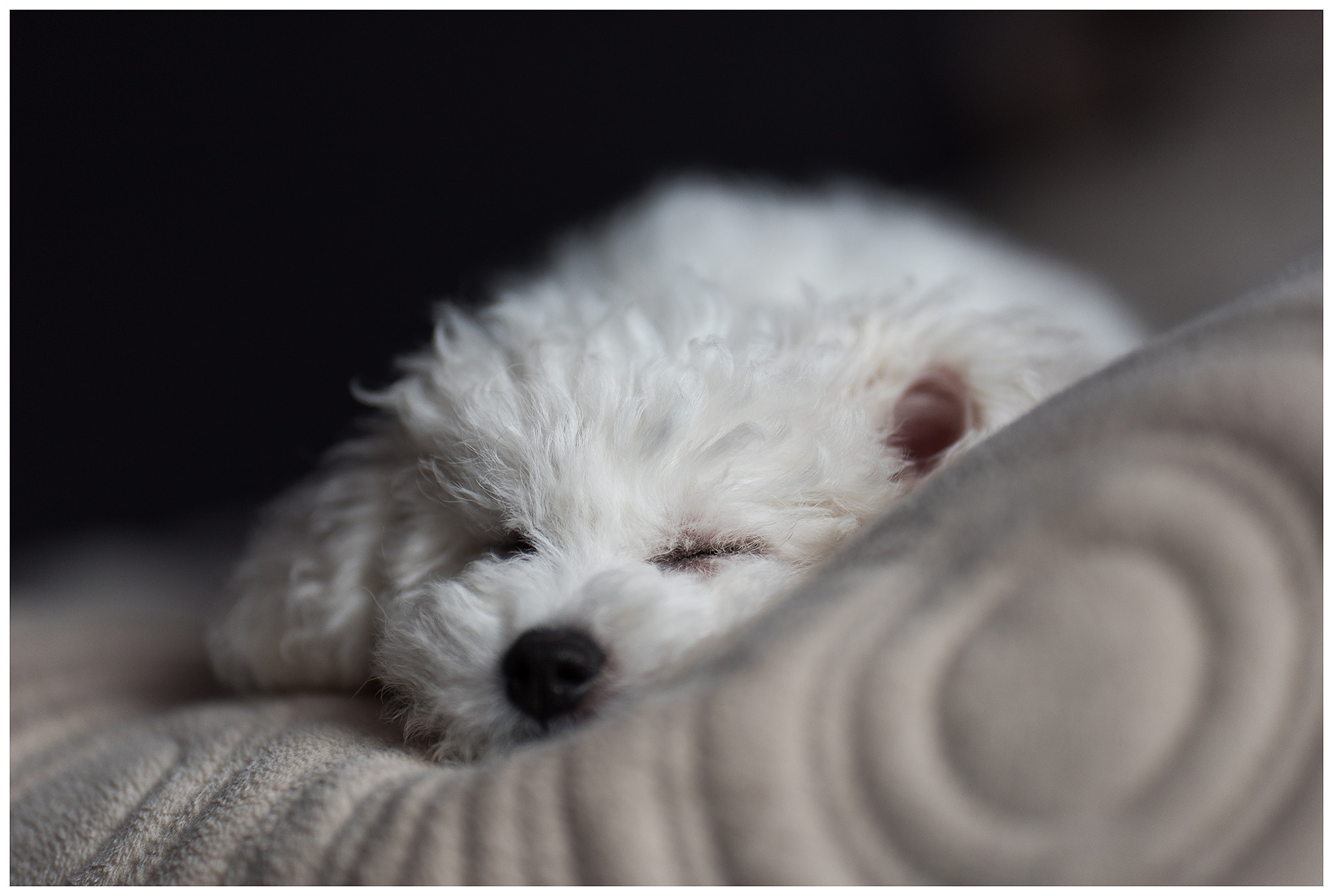 Sigma 105mm F2.8 EX DG Macro sample photo. Edit photography