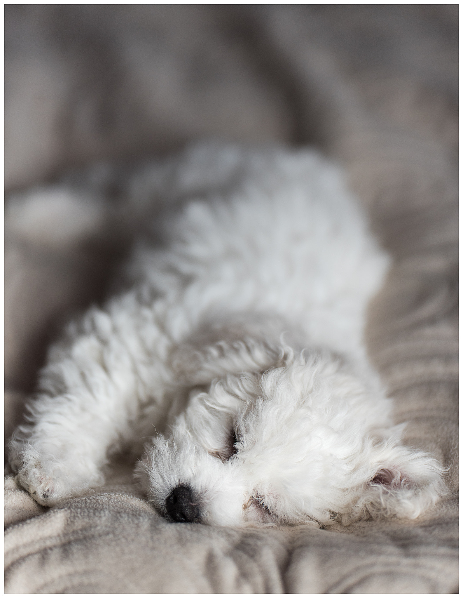 Nikon D750 + Sigma 105mm F2.8 EX DG Macro sample photo. Edit photography