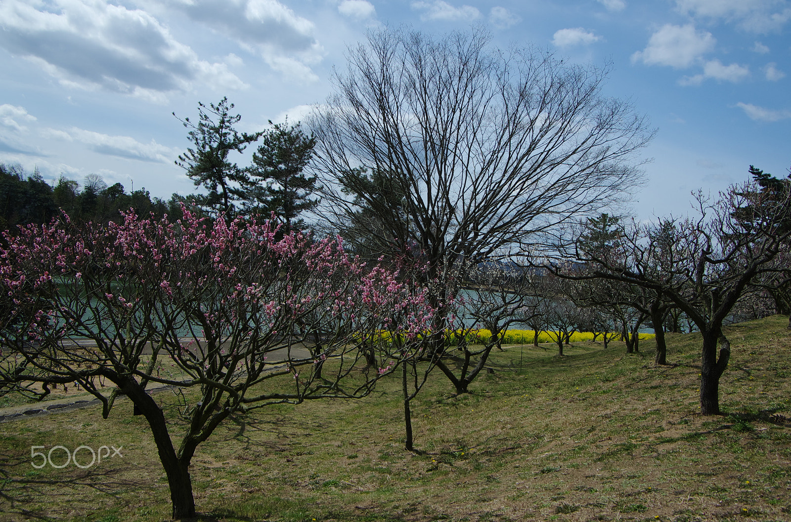 Pentax smc DA 16-45mm F4 ED AL sample photo. Color landscape photography