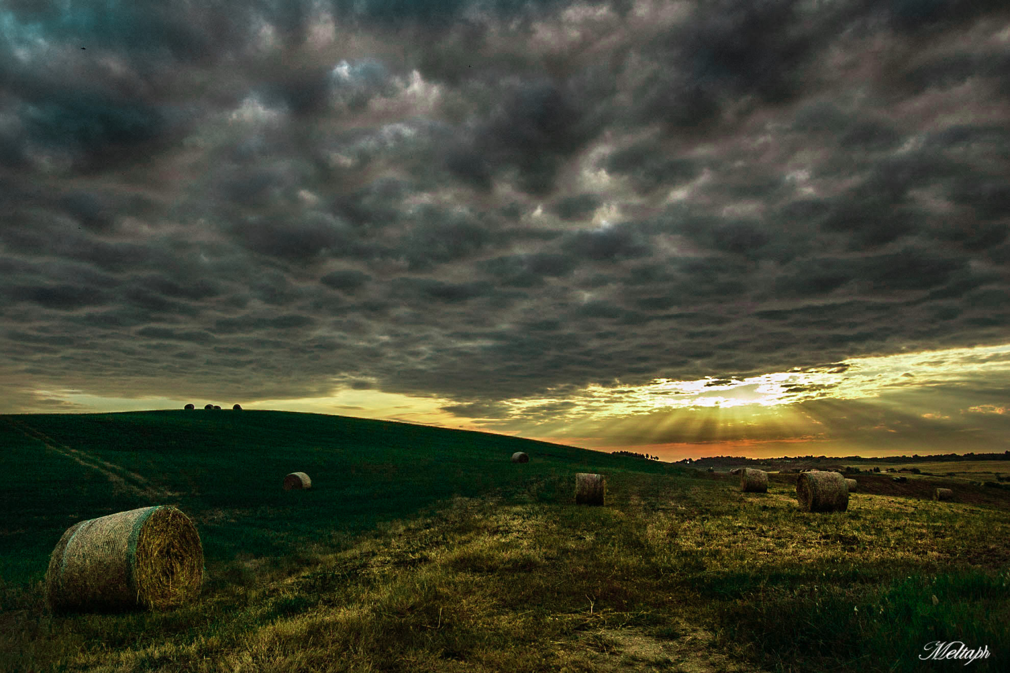 Nikon D50 sample photo. Hay at sunset photography