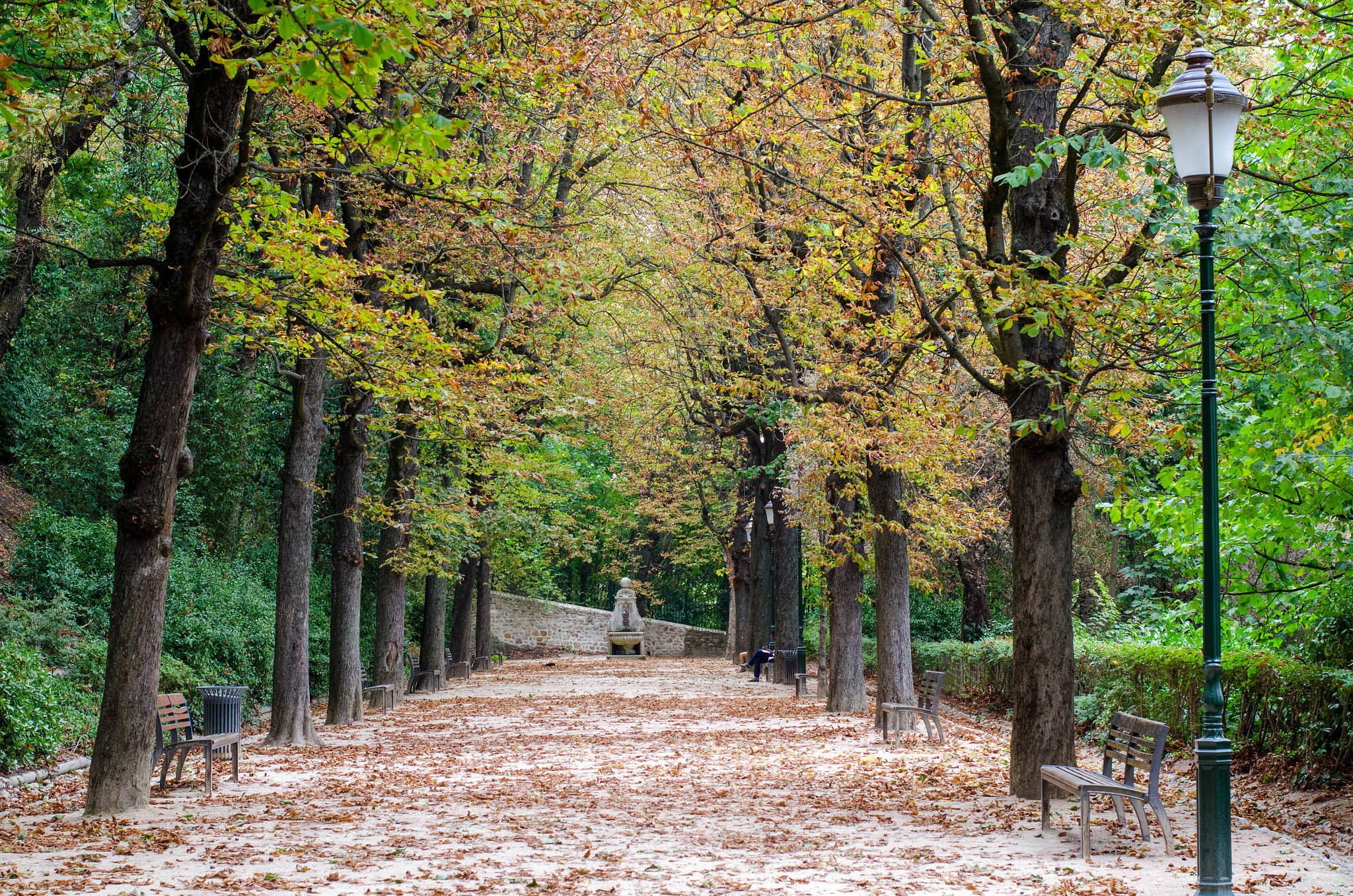 Nikon D7000 sample photo. Parc des hauteurs photography