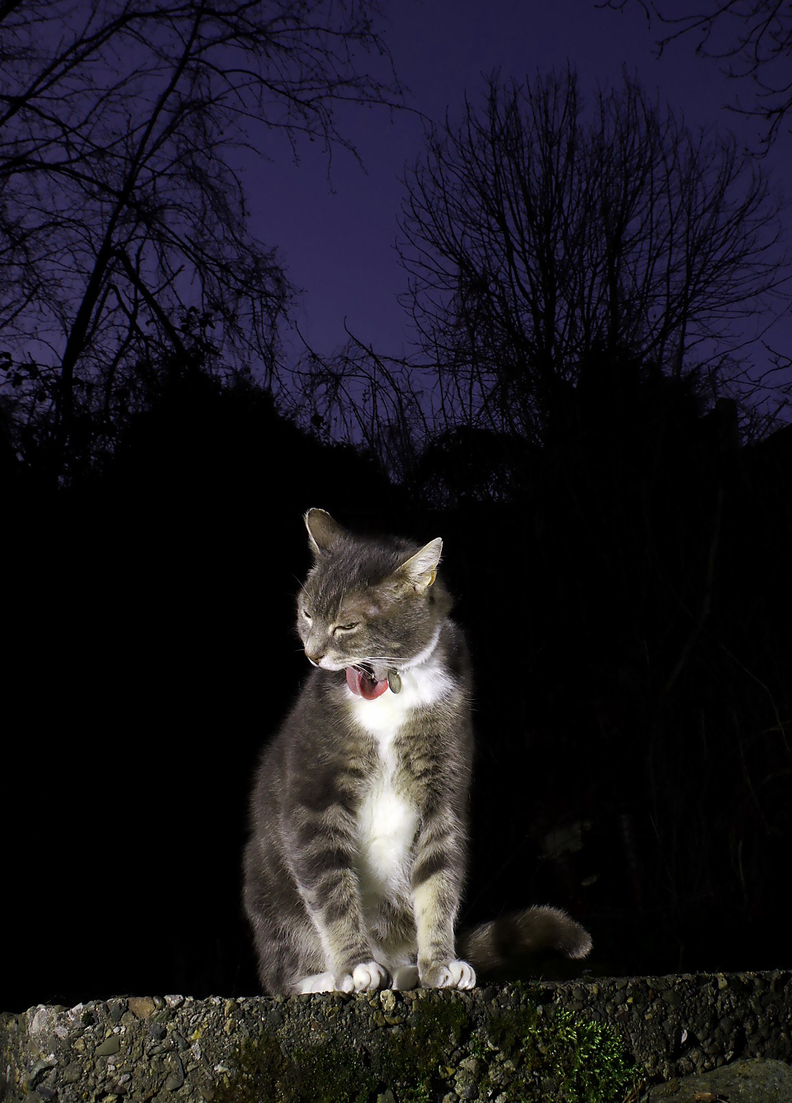 Pentax K-3 sample photo. The night cleaner photography