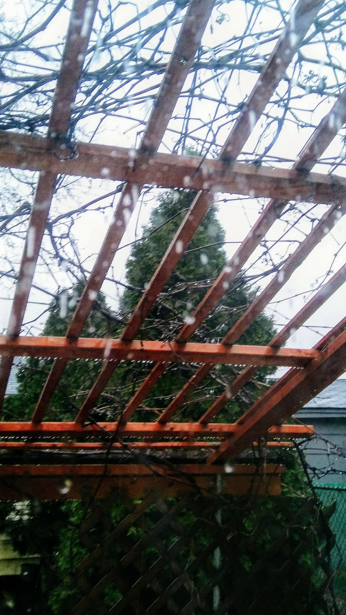 LG STYLO 2 sample photo