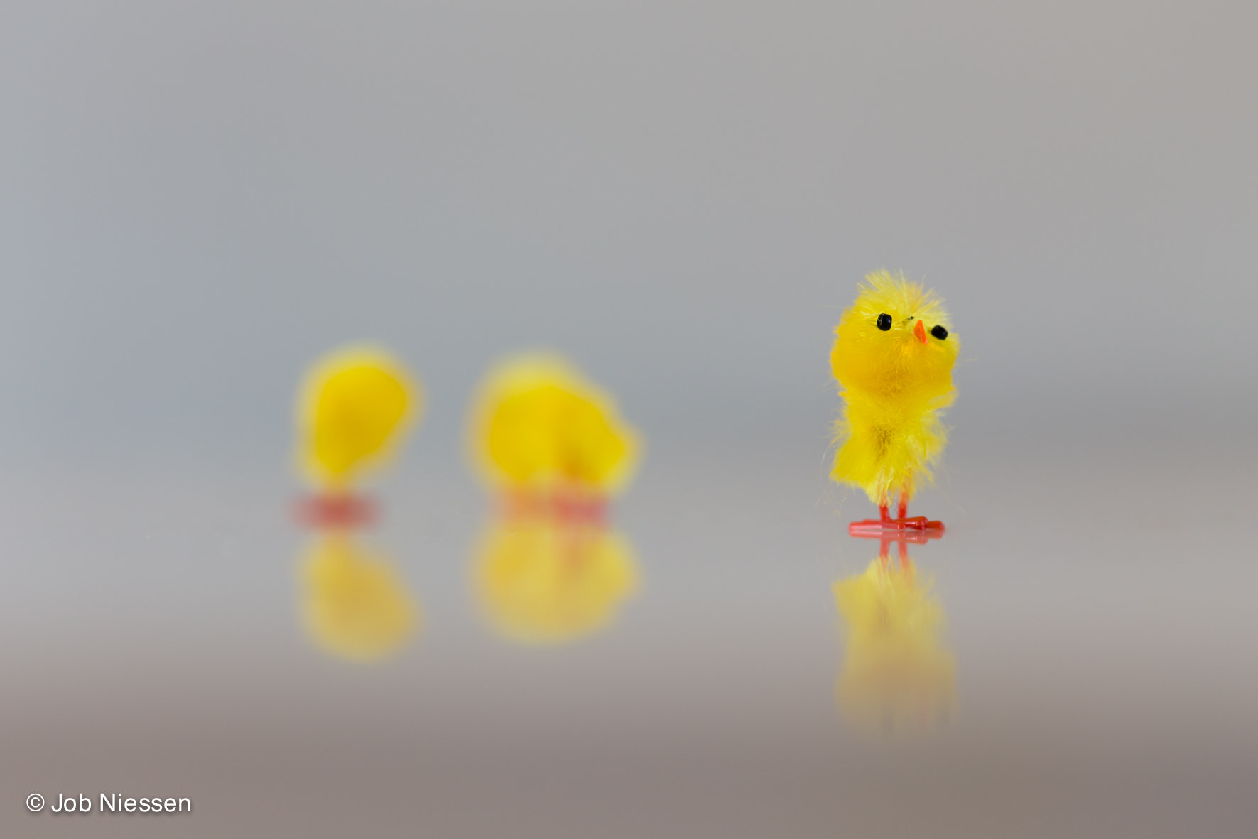 Sigma 105mm F2.8 EX DG OS HSM sample photo. Fitting in photography