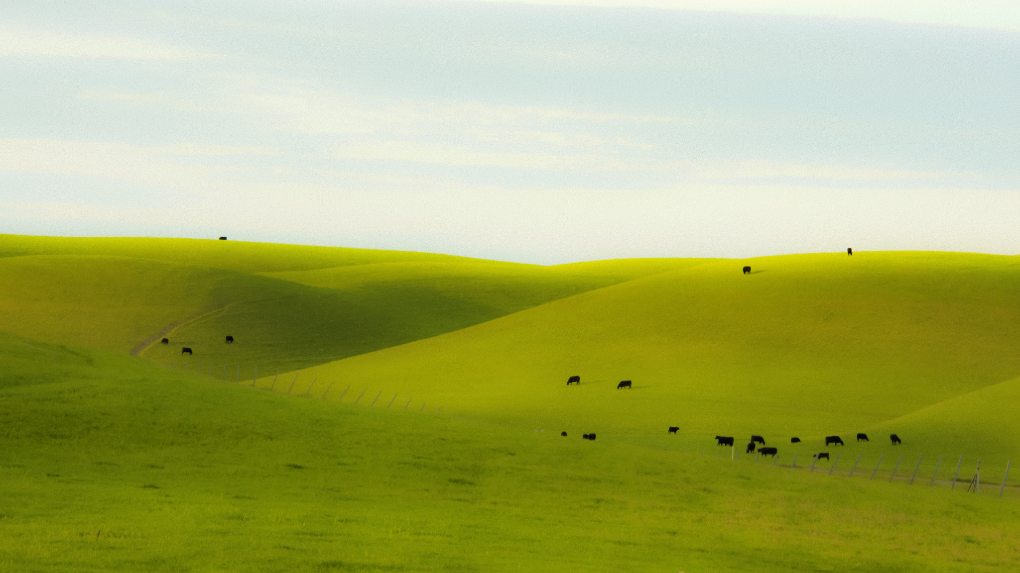 Nikon D7200 sample photo. Green hills photography