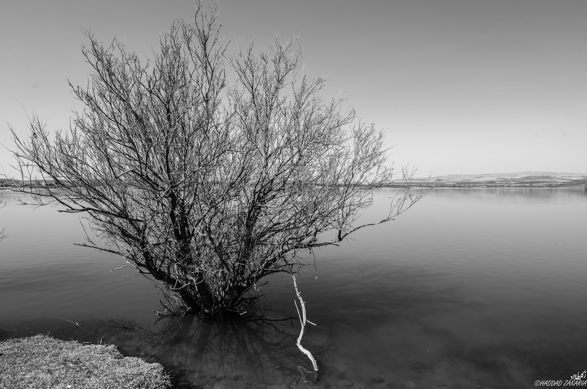 Samyang 14mm F2.8 ED AS IF UMC sample photo. Undead photography
