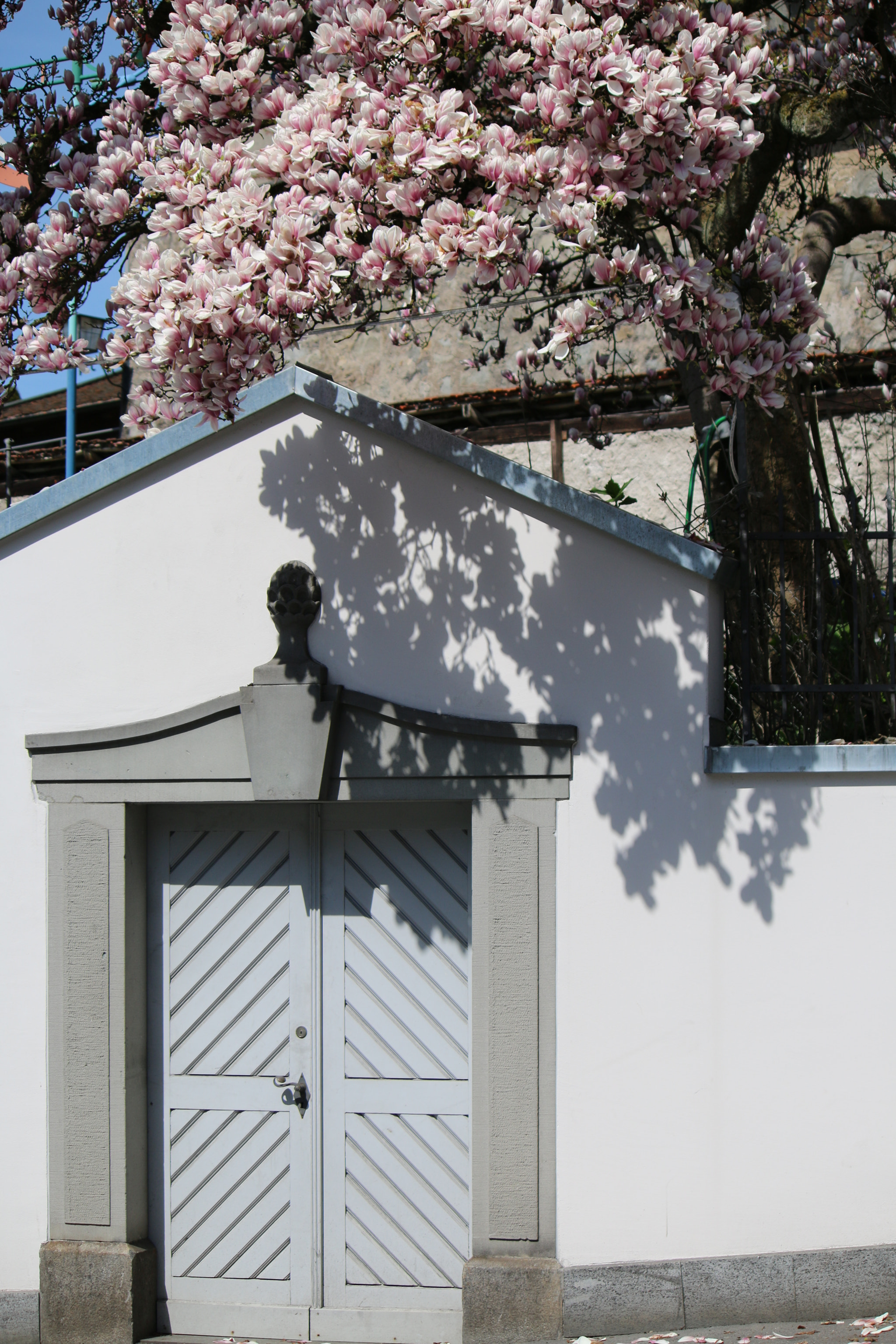 Canon EF-S 55-250mm F4-5.6 IS sample photo. Magnolia photography