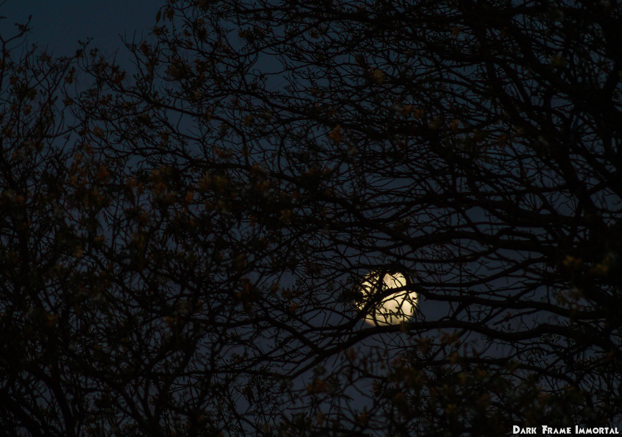 Sony SLT-A58 + Sony DT 55-200mm F4-5.6 SAM sample photo. Darkness and light photography