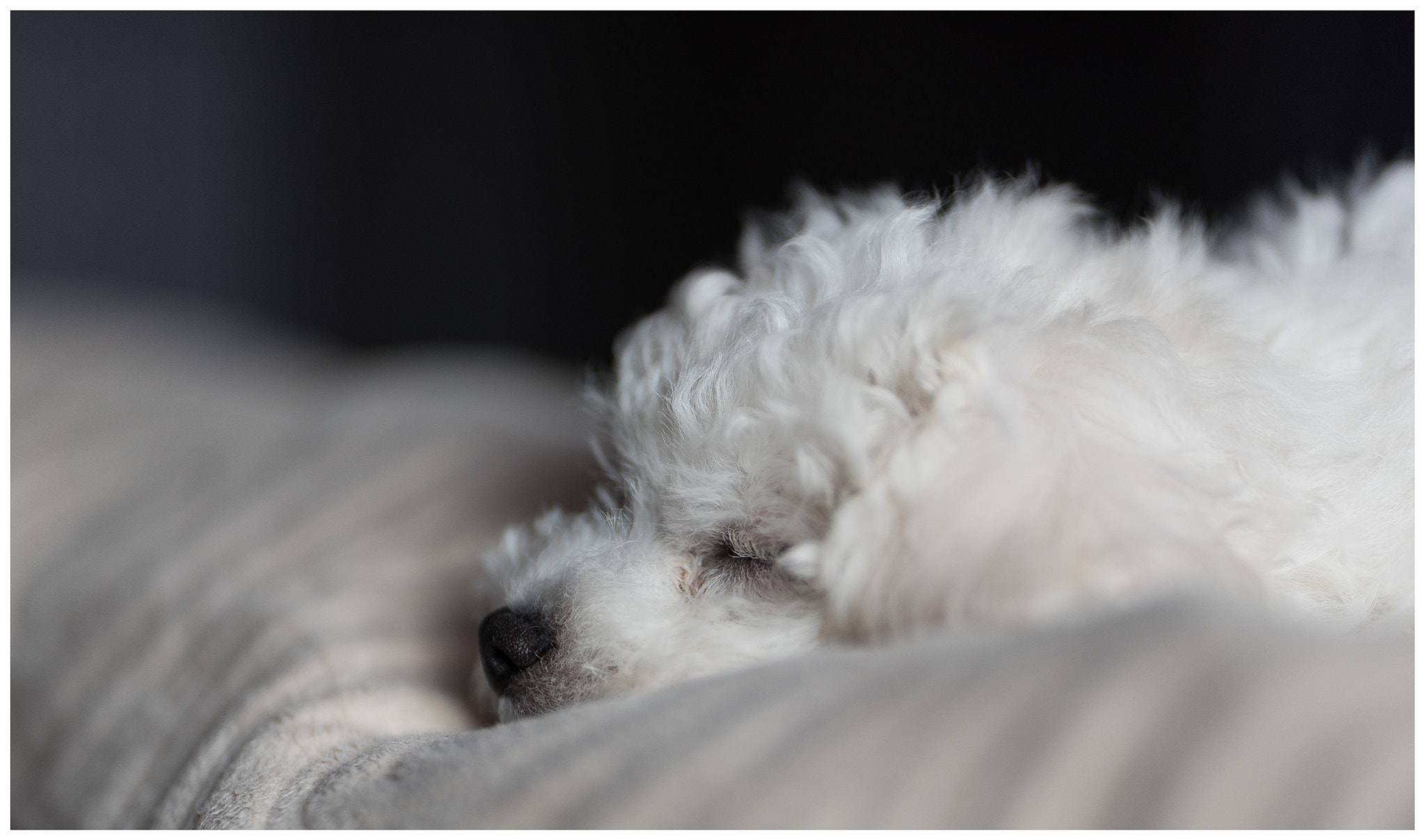 Nikon D750 + Sigma 105mm F2.8 EX DG Macro sample photo. Edit photography