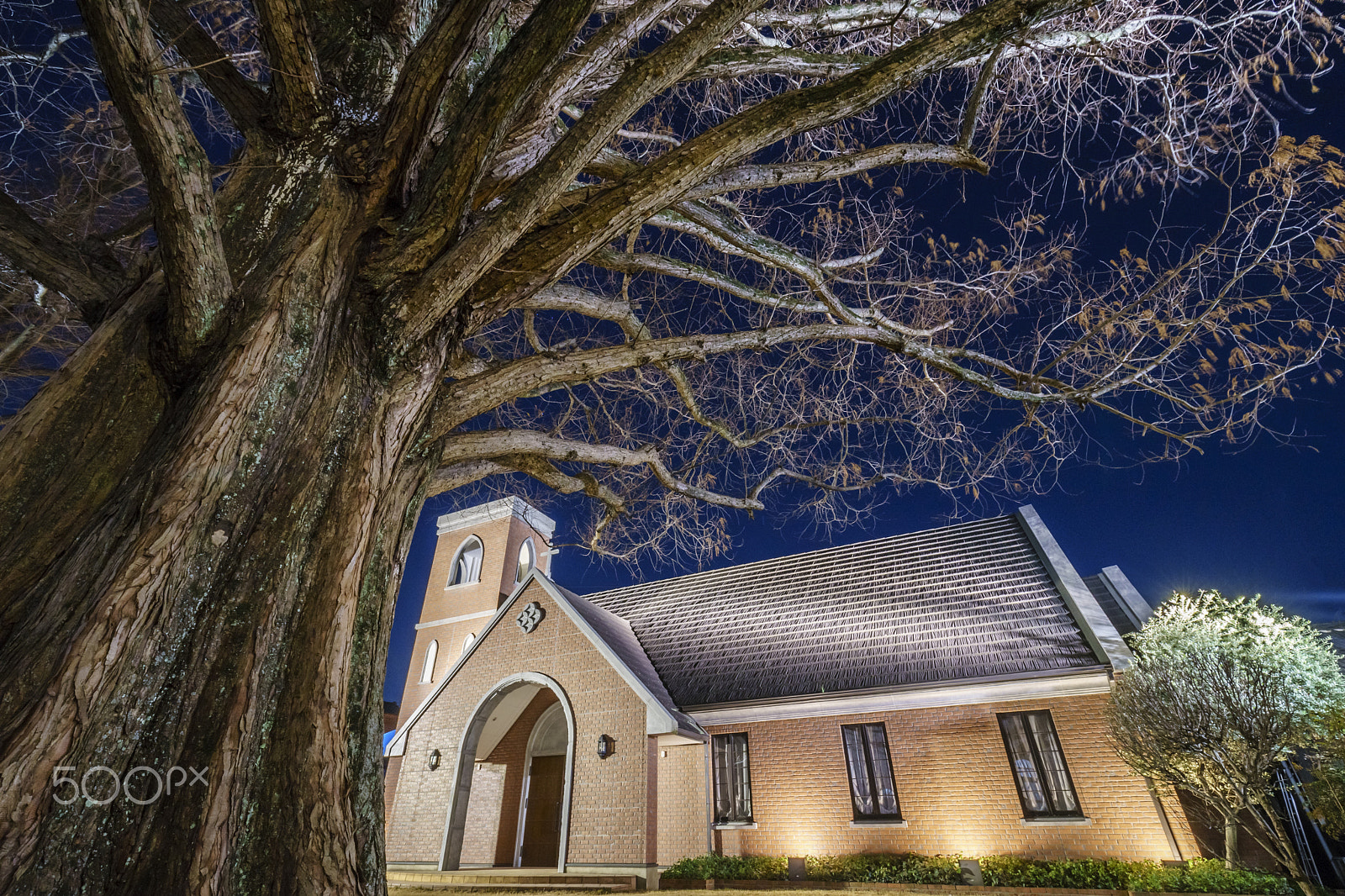 Sony a7 II + Canon EF 16-35mm F4L IS USM sample photo. Chapel photography