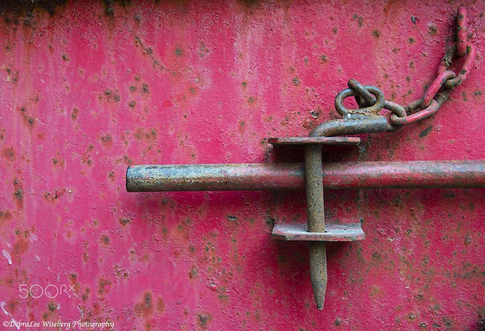 Nikon AF-S Nikkor 24-120mm F4G ED VR sample photo. Bling photography