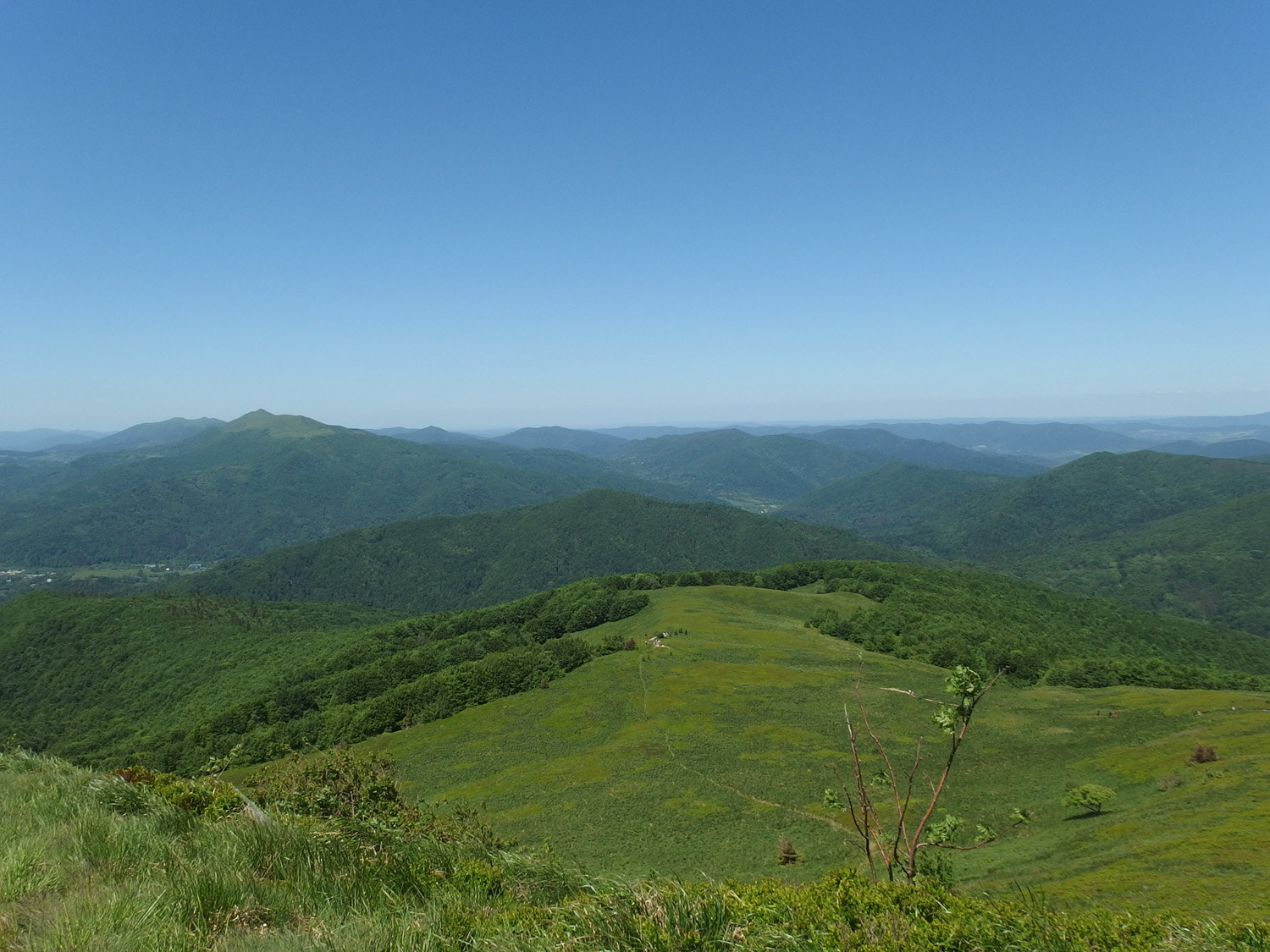 Olympus Stylus XZ-10 sample photo. Bieszczady national park photography