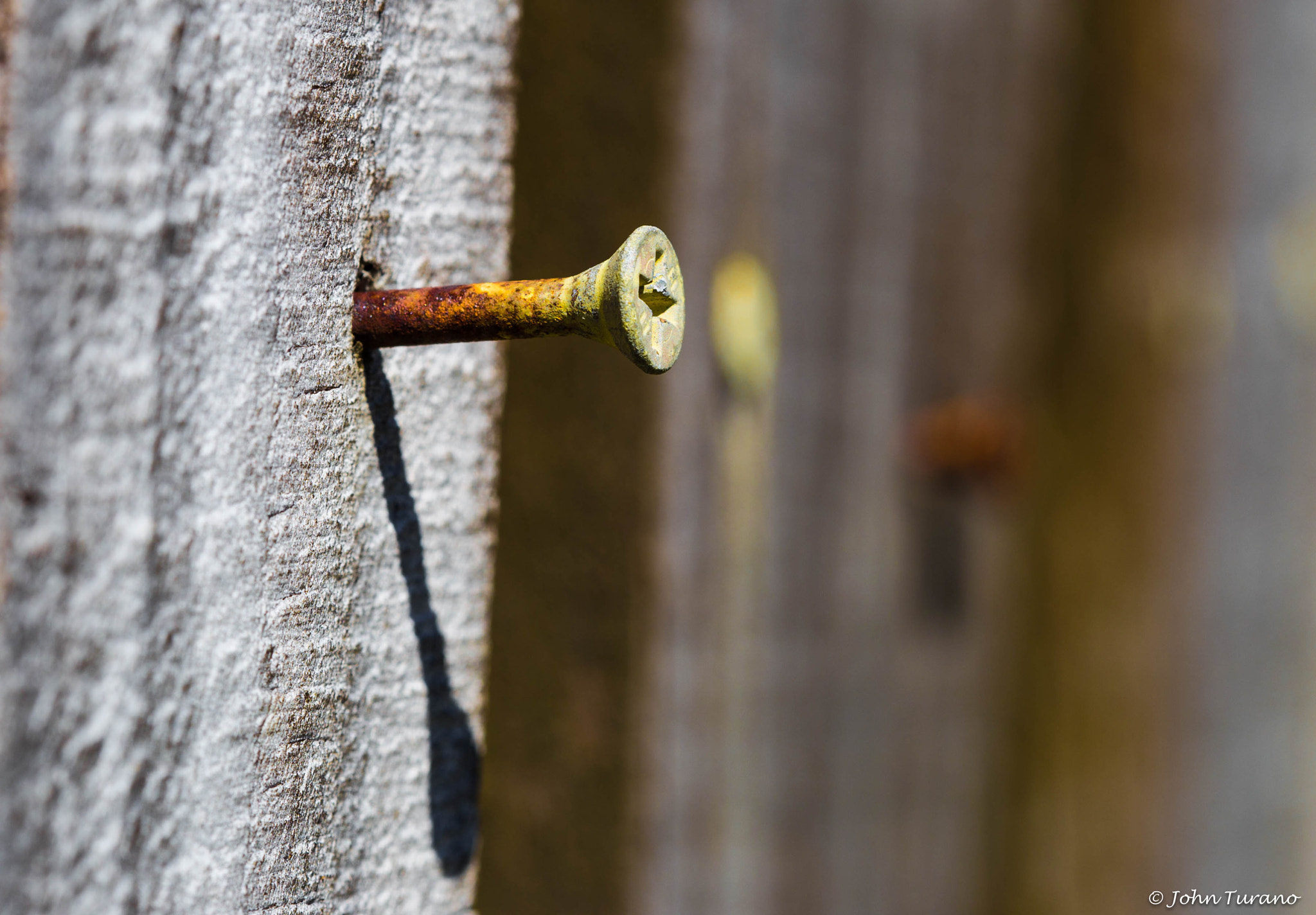 Canon EF 100mm F2.8 Macro USM sample photo. Long shadow photography
