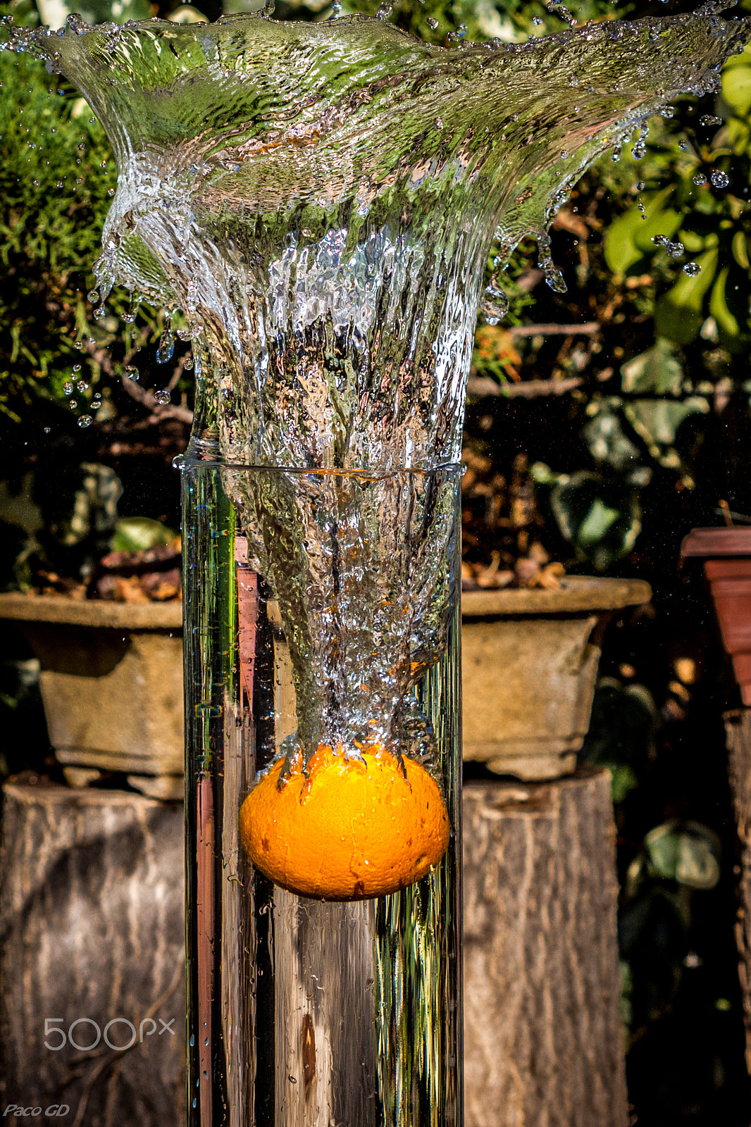 Canon EF 100mm F2.8 Macro USM sample photo. Splash photography