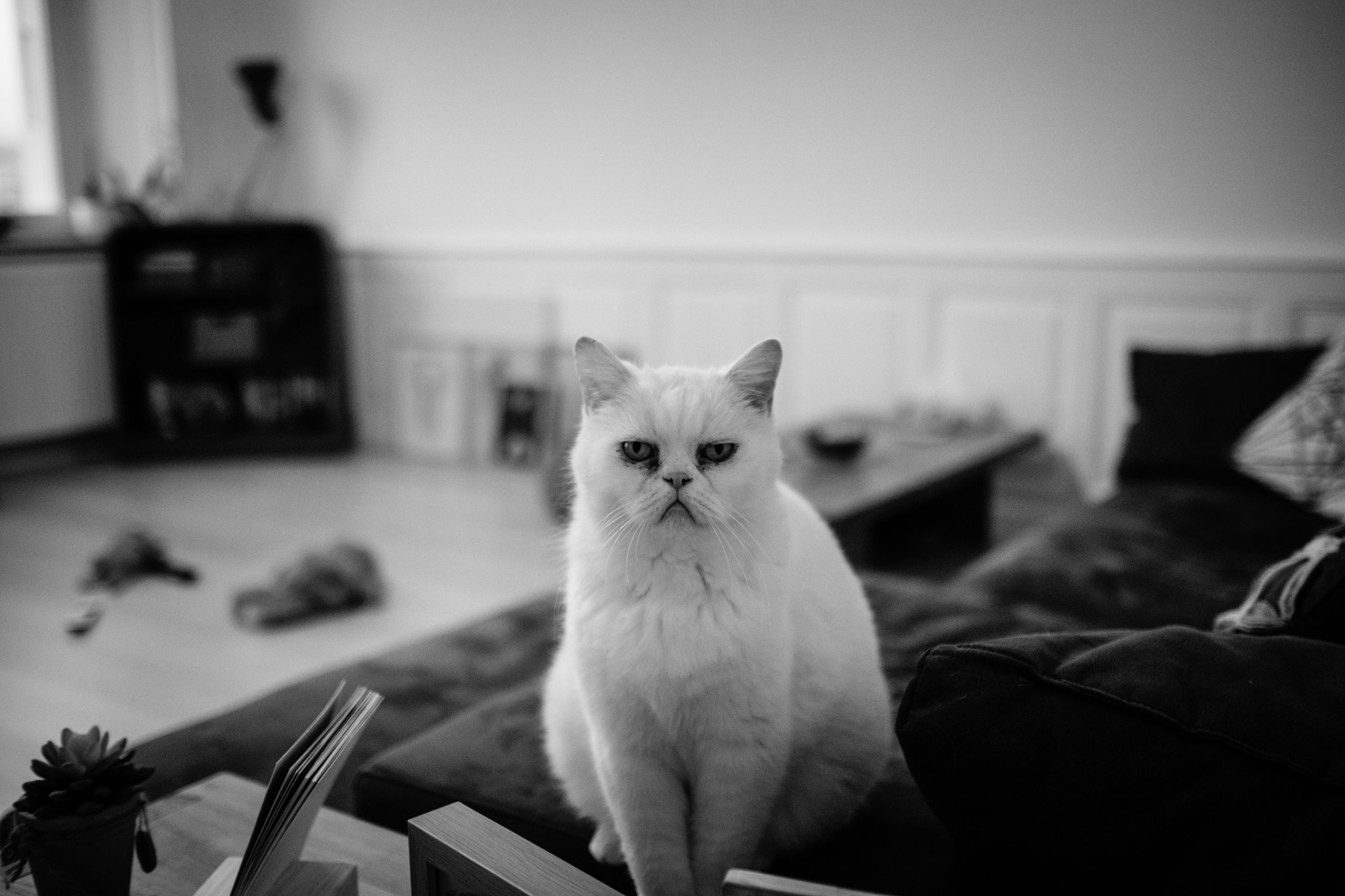 Fujifilm XF 23mm F1.4 R sample photo. ...warmwelcome... photography