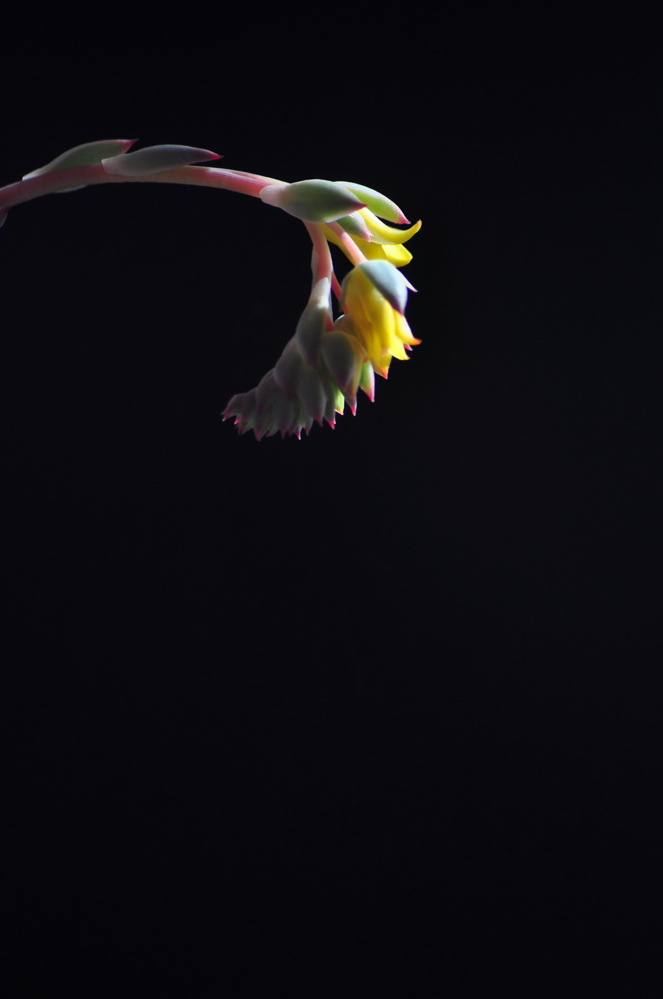 Nikon AF Nikkor 70-300mm F4-5.6G sample photo