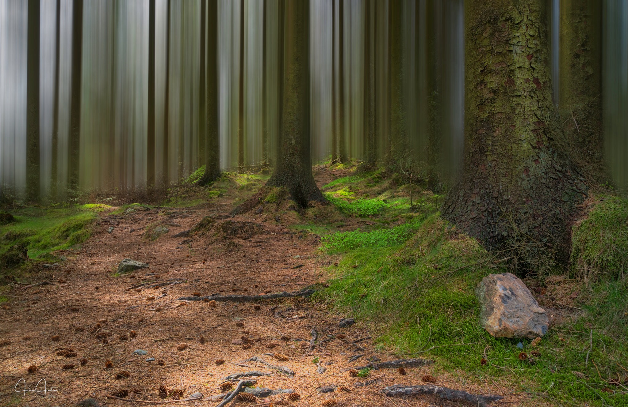 Sony a7R sample photo. Grizedale forest photography